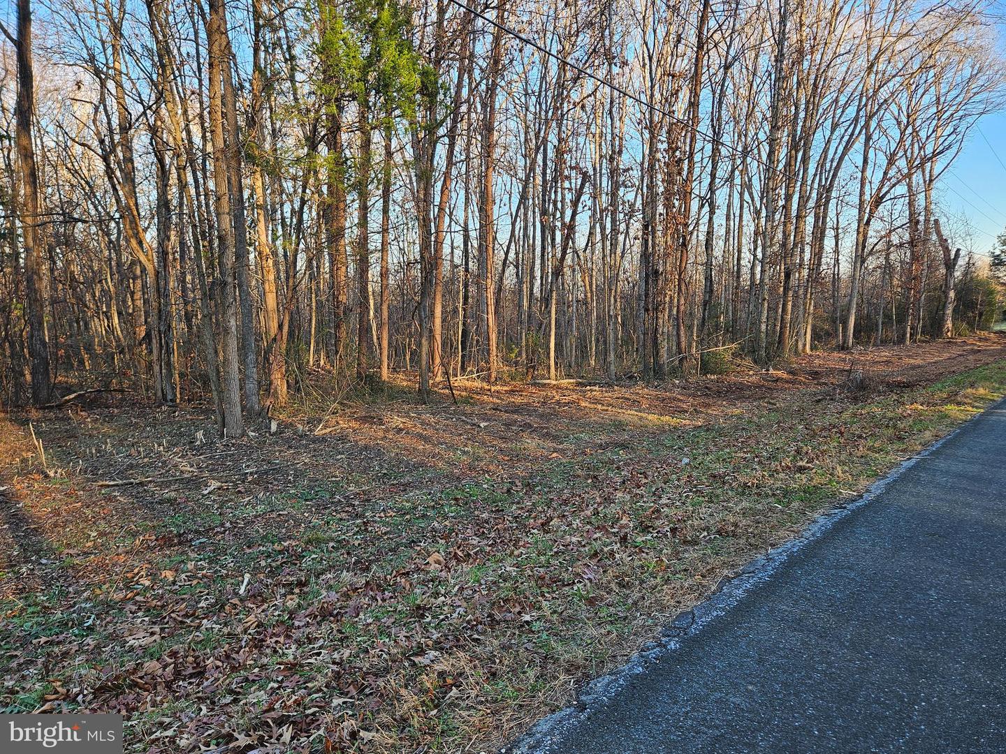 0 PHYSIC SPRING RD, DILLWYN, Virginia 23936, ,Land,For sale,0 PHYSIC SPRING RD,VABH2000248 MLS # VABH2000248 0 PHYSIC SPRING RD, DILLWYN, Virginia 23936, ,Land,For sale,0 PHYSIC SPRING RD,VABH2000248 MLS # VABH2000248