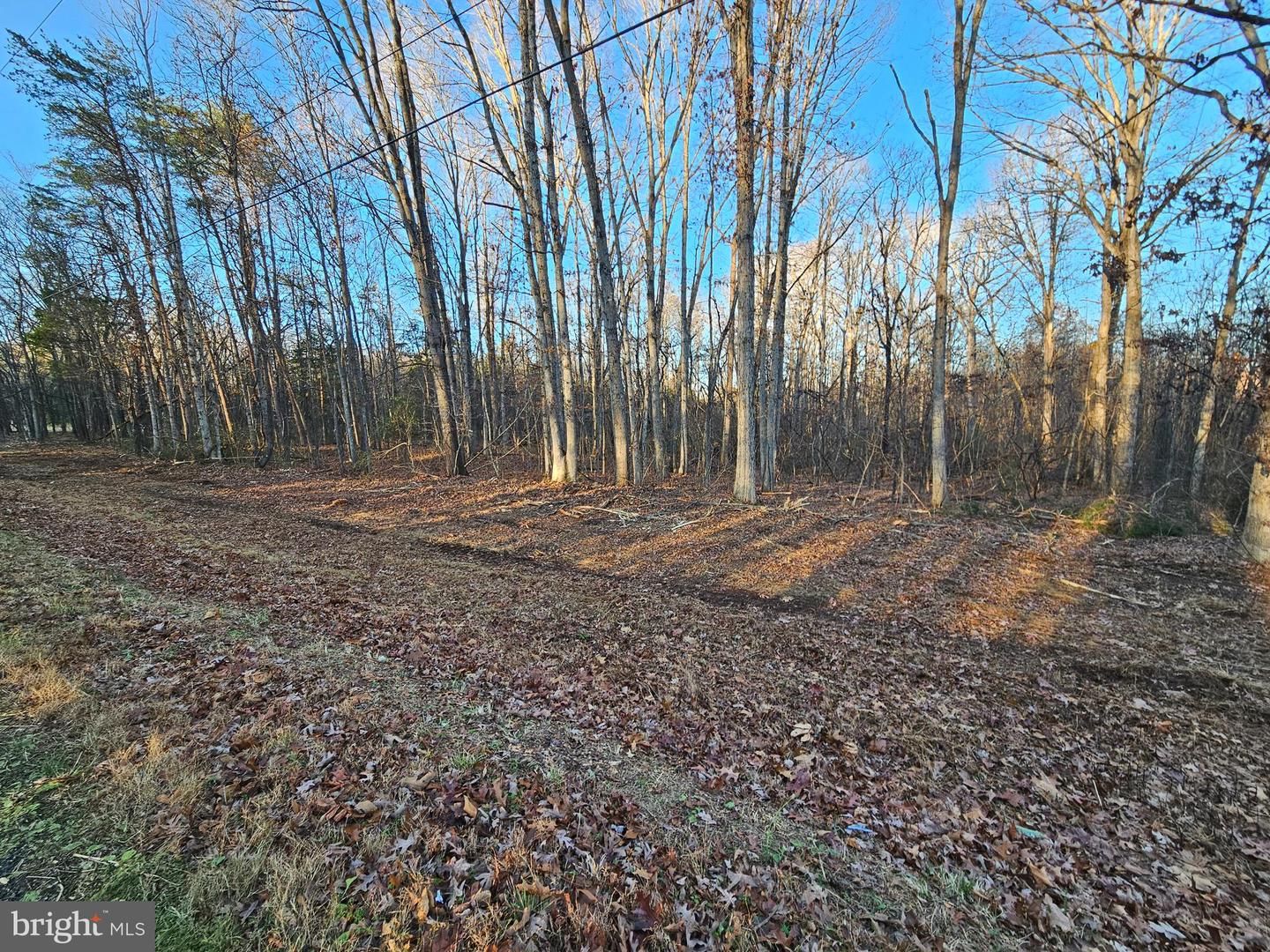 0 PHYSIC SPRING RD, DILLWYN, Virginia 23936, ,Land,For sale,0 PHYSIC SPRING RD,VABH2000248 MLS # VABH2000248 0 PHYSIC SPRING RD, DILLWYN, Virginia 23936, ,Land,For sale,0 PHYSIC SPRING RD,VABH2000248 MLS # VABH2000248
