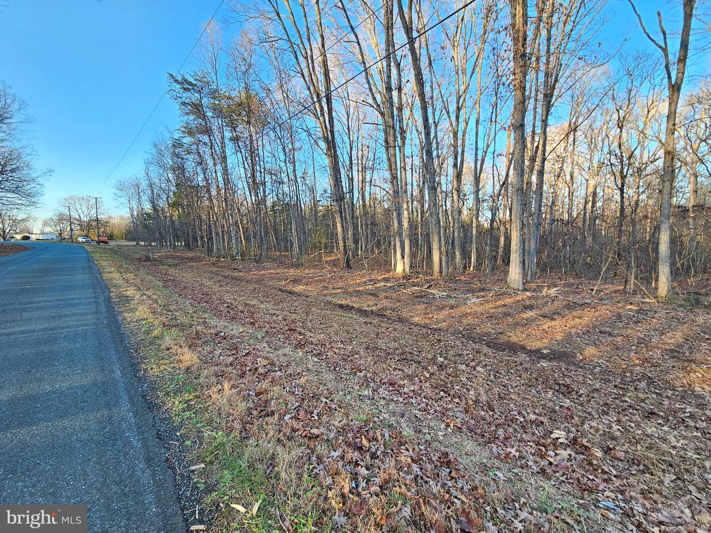 0 PHYSIC SPRING RD, DILLWYN, Virginia 23936, ,Land,For sale,0 PHYSIC SPRING RD,VABH2000248 MLS # VABH2000248 0 PHYSIC SPRING RD, DILLWYN, Virginia 23936, ,Land,For sale,0 PHYSIC SPRING RD,VABH2000248 MLS # VABH2000248