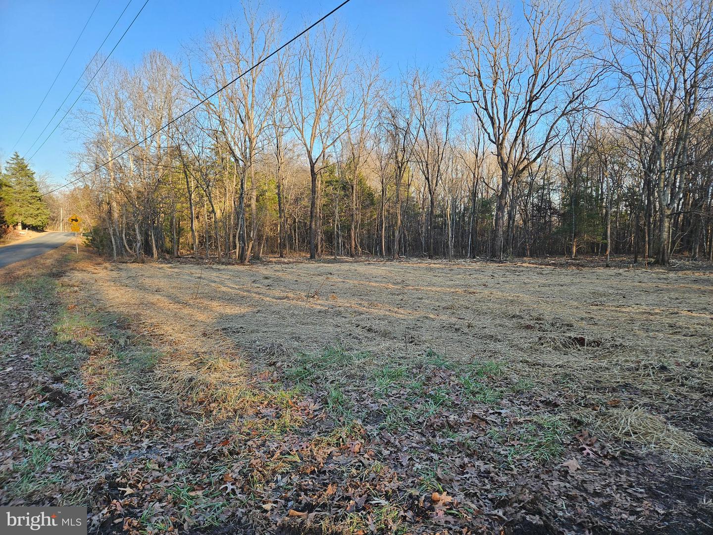 0 PHYSIC SPRING RD, DILLWYN, Virginia 23936, ,Land,For sale,0 PHYSIC SPRING RD,VABH2000248 MLS # VABH2000248 0 PHYSIC SPRING RD, DILLWYN, Virginia 23936, ,Land,For sale,0 PHYSIC SPRING RD,VABH2000248 MLS # VABH2000248