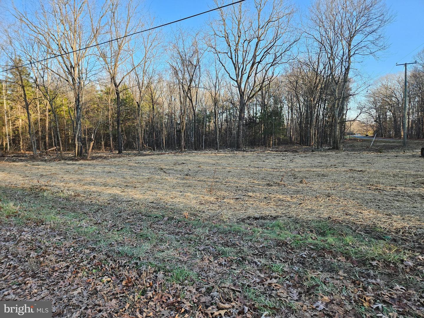 0 PHYSIC SPRING RD, DILLWYN, Virginia 23936, ,Land,For sale,0 PHYSIC SPRING RD,VABH2000248 MLS # VABH2000248 0 PHYSIC SPRING RD, DILLWYN, Virginia 23936, ,Land,For sale,0 PHYSIC SPRING RD,VABH2000248 MLS # VABH2000248