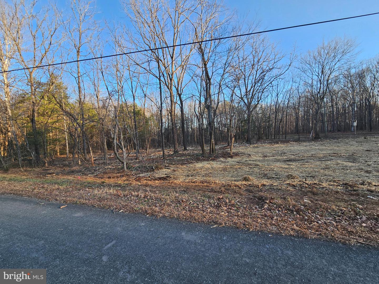 0 PHYSIC SPRING RD, DILLWYN, Virginia 23936, ,Land,For sale,0 PHYSIC SPRING RD,VABH2000248 MLS # VABH2000248 0 PHYSIC SPRING RD, DILLWYN, Virginia 23936, ,Land,For sale,0 PHYSIC SPRING RD,VABH2000248 MLS # VABH2000248