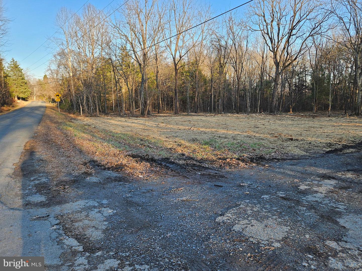 0 PHYSIC SPRING RD, DILLWYN, Virginia 23936, ,Land,For sale,0 PHYSIC SPRING RD,VABH2000248 MLS # VABH2000248 0 PHYSIC SPRING RD, DILLWYN, Virginia 23936, ,Land,For sale,0 PHYSIC SPRING RD,VABH2000248 MLS # VABH2000248