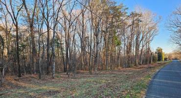 0 PHYSIC SPRING RD, DILLWYN, Virginia 23936, ,Land,For sale,0 PHYSIC SPRING RD,VABH2000248 MLS # VABH2000248