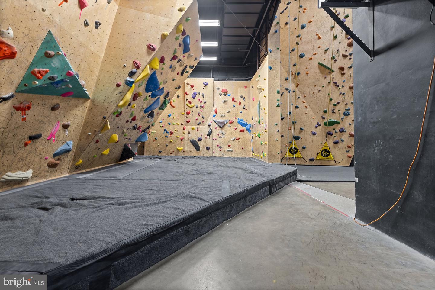 303, 305, 307 S. MAIN ST AND 115 E. LOCUST ST, CULPEPER, Virginia 22701, ,Land,For sale,303, 305, 307 S. MAIN ST AND 115 E. LOCUST ST,VACU2007892 MLS # VACU2007892 303, 305, 307 S. MAIN ST AND 115 E. LOCUST ST, CULPEPER, Virginia 22701, ,Land,For sale,303, 305, 307 S. MAIN ST AND 115 E. LOCUST ST,VACU2007892 MLS # VACU2007892