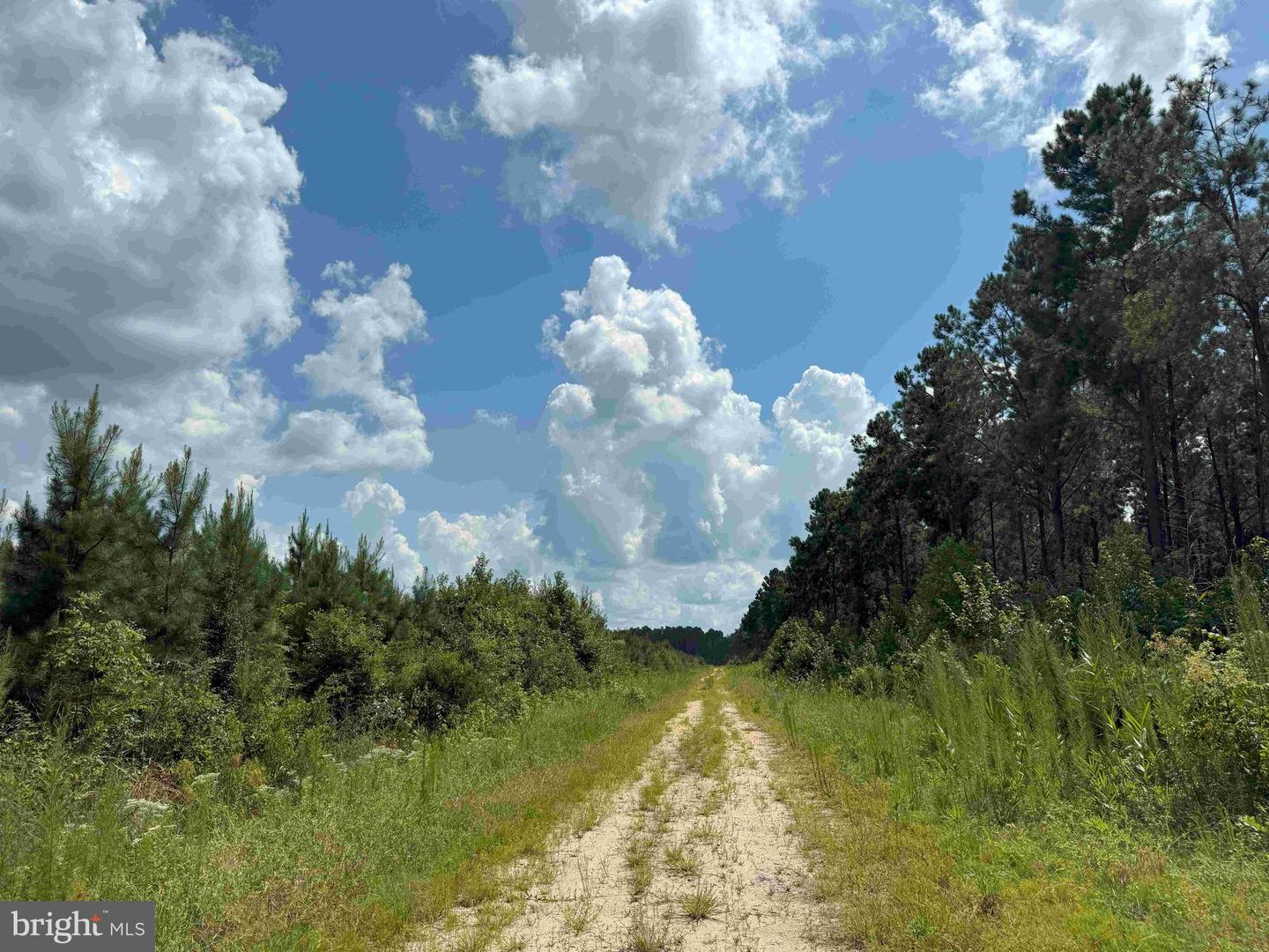 N LIBERTY SPRING RD (TRACT: CHES. BLOCK 4-61-119), SUFFOLK, Virginia 23432, ,Farm,For sale,N LIBERTY SPRING RD (TRACT: CHES. BLOCK 4-61-119),VASF2000056 MLS # VASF2000056