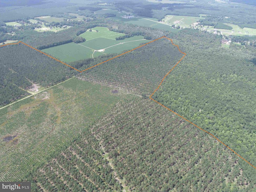 N LIBERTY SPRING RD (TRACT: CHES. BLOCK 4-61-119), SUFFOLK, Virginia 23432, ,Farm,For sale,N LIBERTY SPRING RD (TRACT: CHES. BLOCK 4-61-119),VASF2000056 MLS # VASF2000056