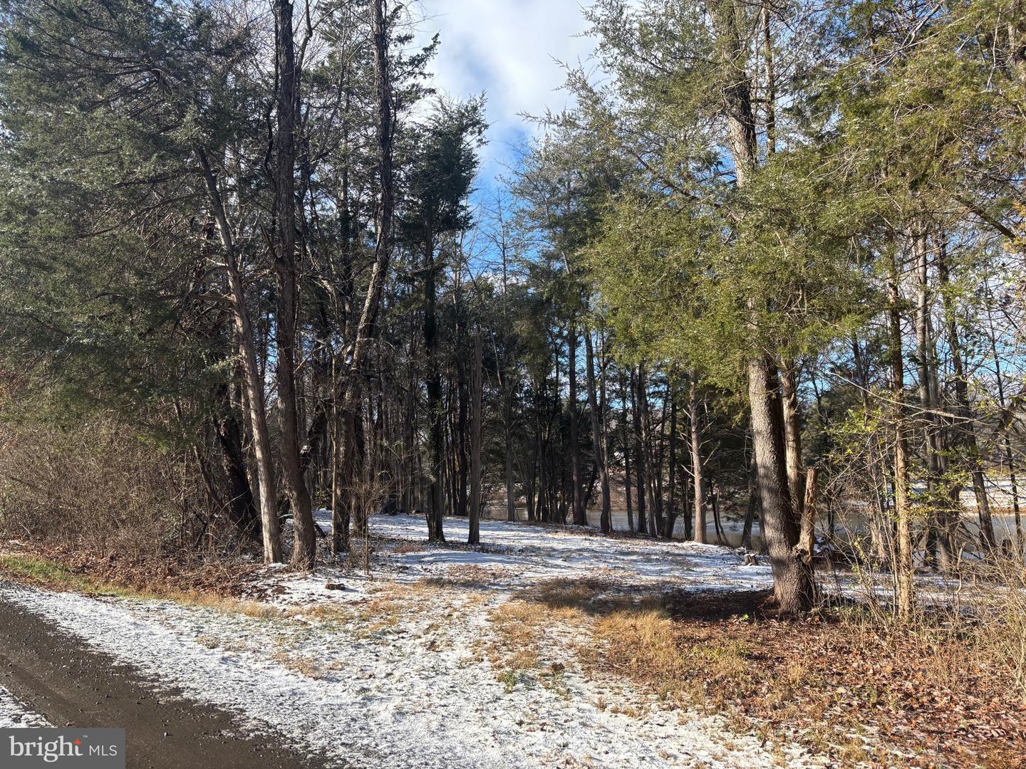 0 MCALEXANDER RD, ORANGE, Virginia 22960, ,Land,For sale,0 MCALEXANDER RD,VAOR2012926 MLS # VAOR2012926