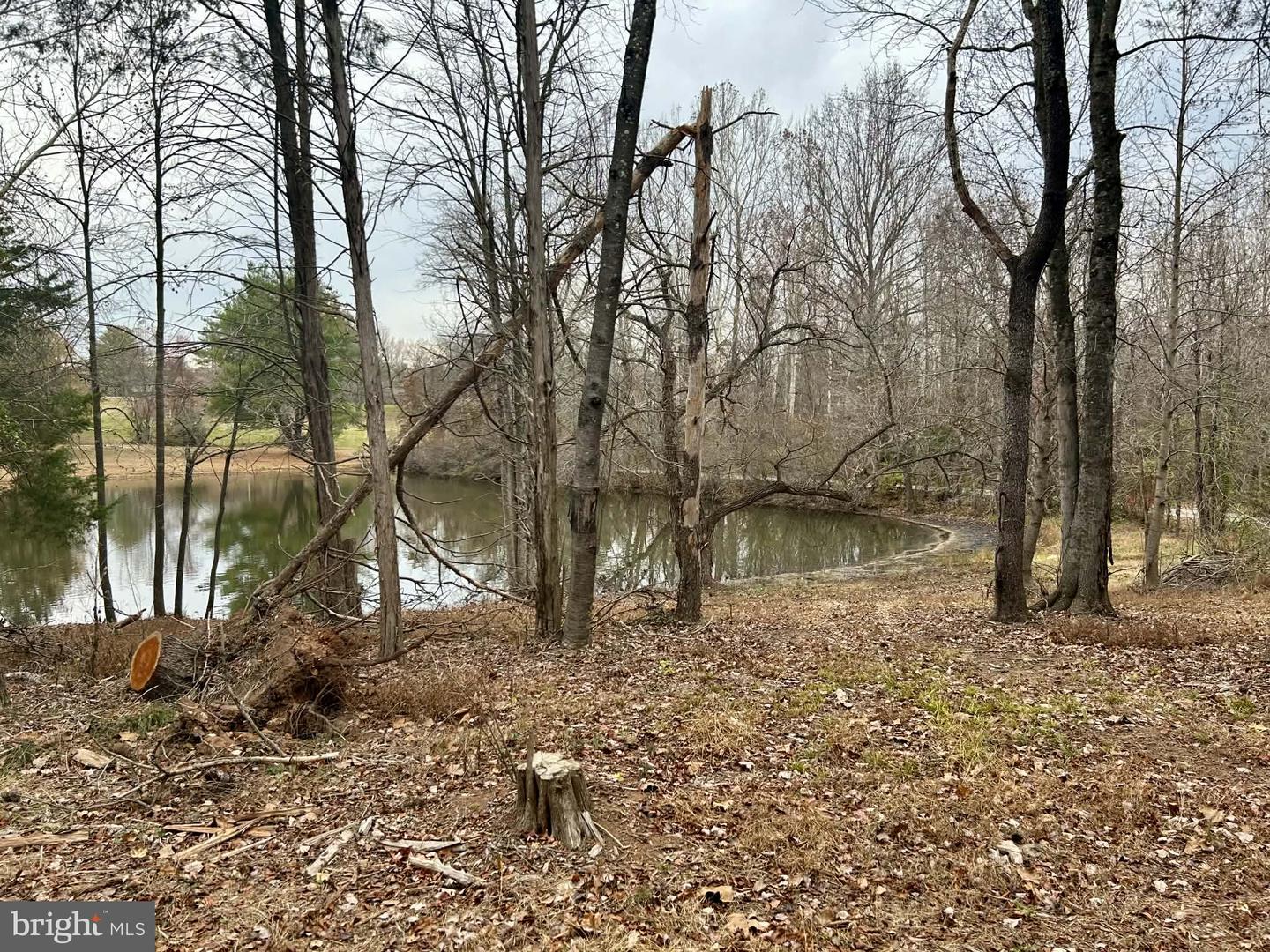 0 MCALEXANDER RD, ORANGE, Virginia 22960, ,Land,For sale,0 MCALEXANDER RD,VAOR2012926 MLS # VAOR2012926 0 MCALEXANDER RD, ORANGE, Virginia 22960, ,Land,For sale,0 MCALEXANDER RD,VAOR2012926 MLS # VAOR2012926