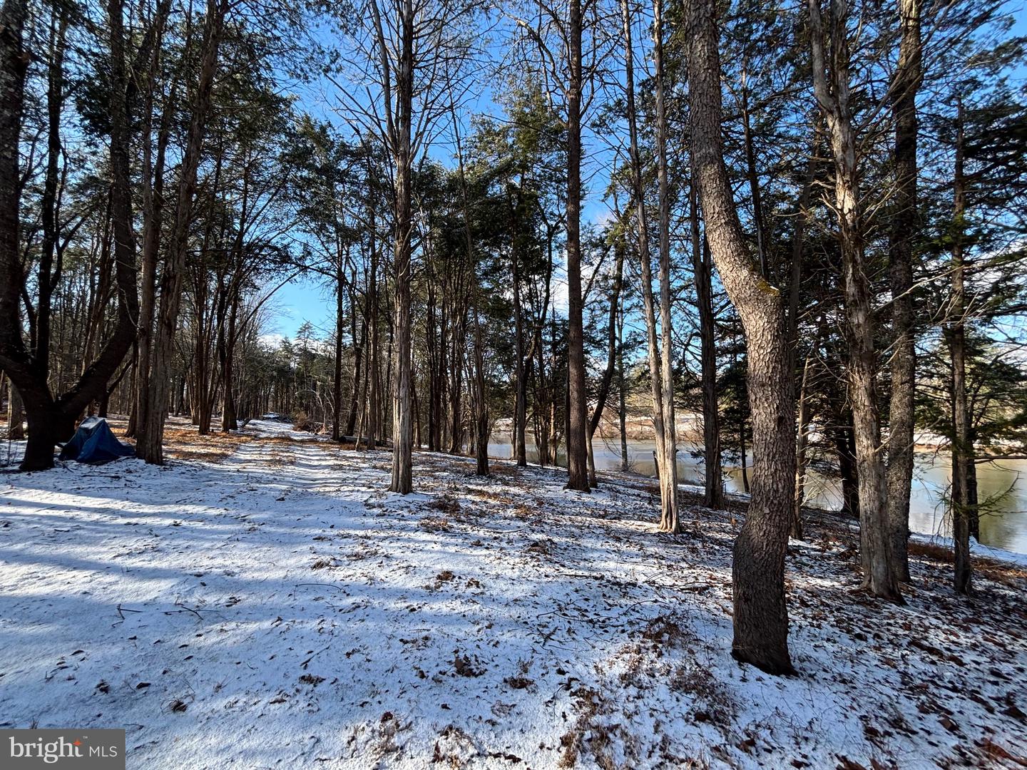 0 MCALEXANDER RD, ORANGE, Virginia 22960, ,Land,For sale,0 MCALEXANDER RD,VAOR2012926 MLS # VAOR2012926