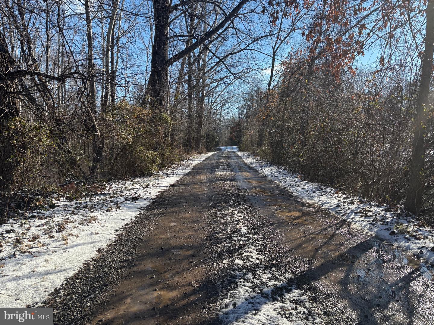 0 MCALEXANDER RD, ORANGE, Virginia 22960, ,Land,For sale,0 MCALEXANDER RD,VAOR2012926 MLS # VAOR2012926