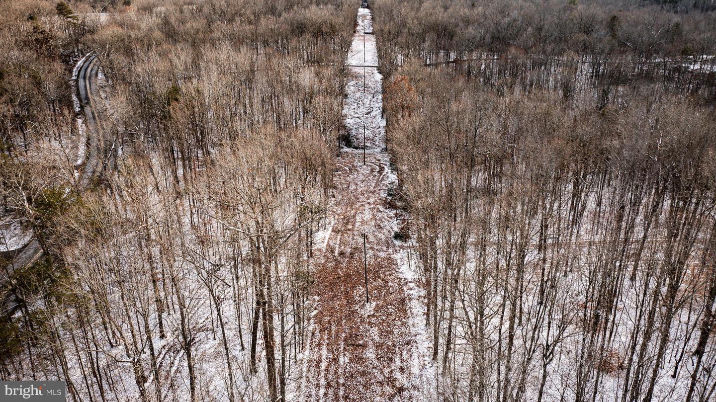 TBD MALLORYS FORD RD, LOUISA, Virginia 23093, ,Land,For sale,TBD MALLORYS FORD RD,VALA2009008 MLS # VALA2009008 TBD MALLORYS FORD RD, LOUISA, Virginia 23093, ,Land,For sale,TBD MALLORYS FORD RD,VALA2009008 MLS # VALA2009008