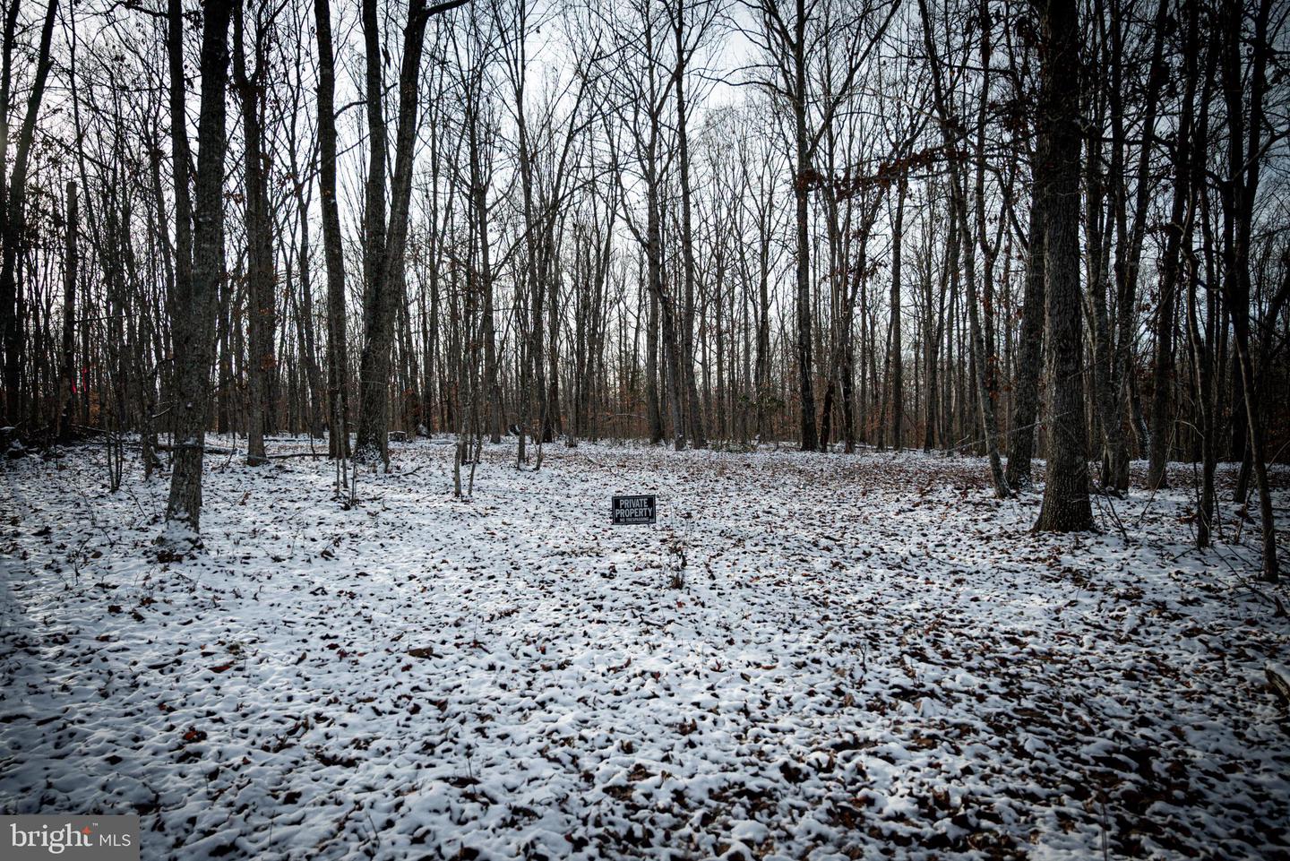 TBD MALLORYS FORD RD, LOUISA, Virginia 23093, ,Land,For sale,TBD MALLORYS FORD RD,VALA2009008 MLS # VALA2009008 TBD MALLORYS FORD RD, LOUISA, Virginia 23093, ,Land,For sale,TBD MALLORYS FORD RD,VALA2009008 MLS # VALA2009008