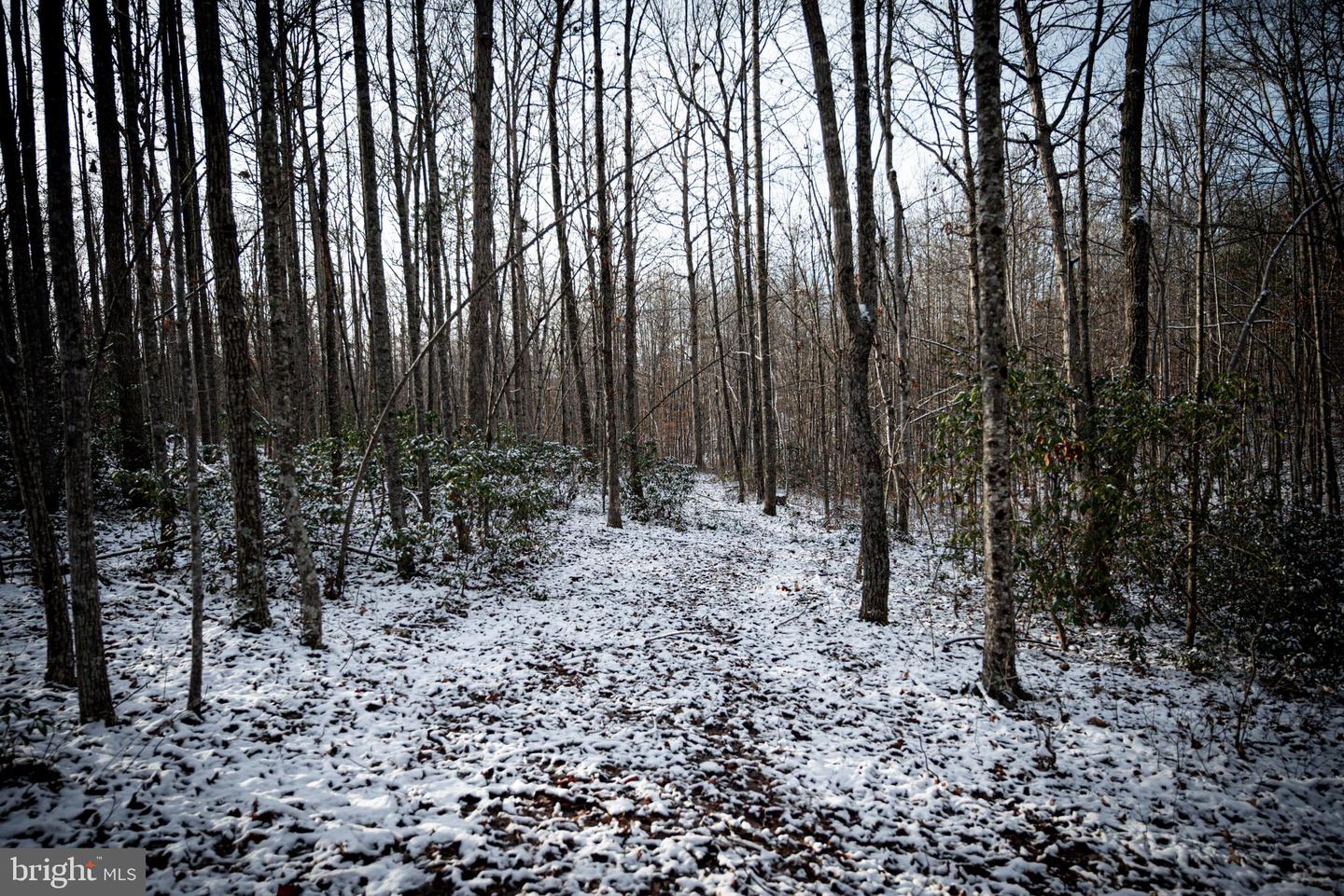 TBD MALLORYS FORD RD, LOUISA, Virginia 23093, ,Land,For sale,TBD MALLORYS FORD RD,VALA2009008 MLS # VALA2009008 TBD MALLORYS FORD RD, LOUISA, Virginia 23093, ,Land,For sale,TBD MALLORYS FORD RD,VALA2009008 MLS # VALA2009008