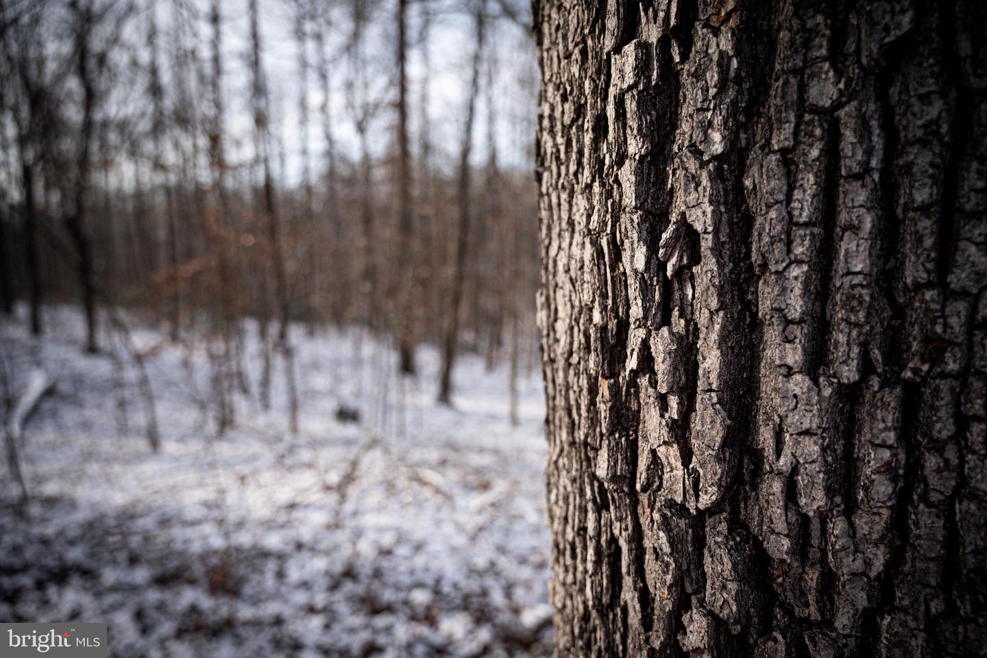 TBD MALLORYS FORD RD, LOUISA, Virginia 23093, ,Land,For sale,TBD MALLORYS FORD RD,VALA2009008 MLS # VALA2009008 TBD MALLORYS FORD RD, LOUISA, Virginia 23093, ,Land,For sale,TBD MALLORYS FORD RD,VALA2009008 MLS # VALA2009008