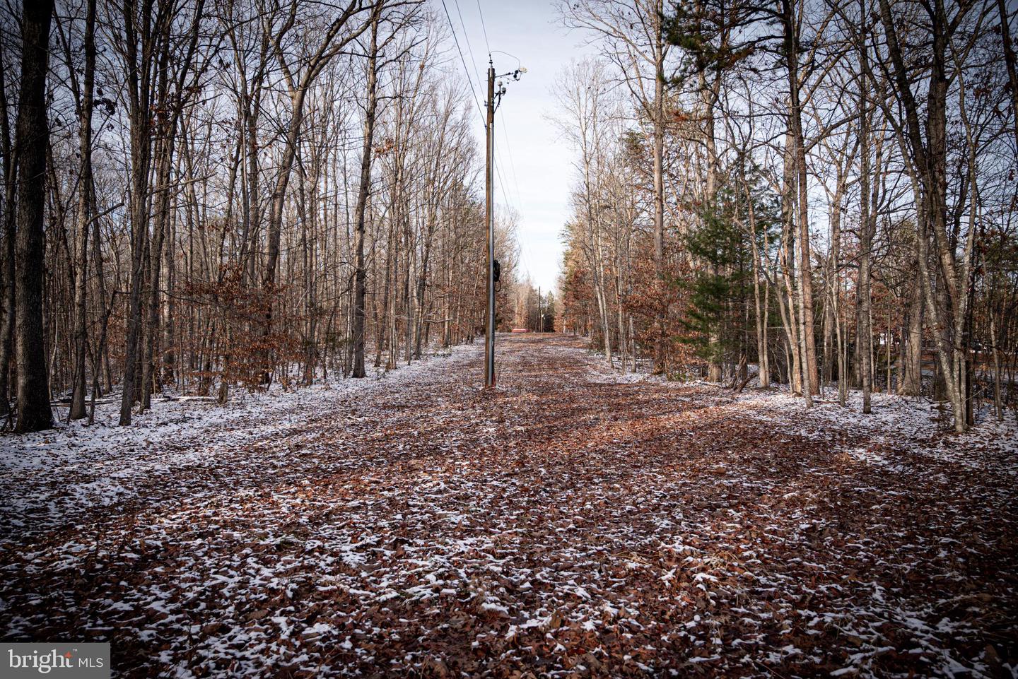 TBD MALLORYS FORD RD, LOUISA, Virginia 23093, ,Land,For sale,TBD MALLORYS FORD RD,VALA2009008 MLS # VALA2009008 TBD MALLORYS FORD RD, LOUISA, Virginia 23093, ,Land,For sale,TBD MALLORYS FORD RD,VALA2009008 MLS # VALA2009008