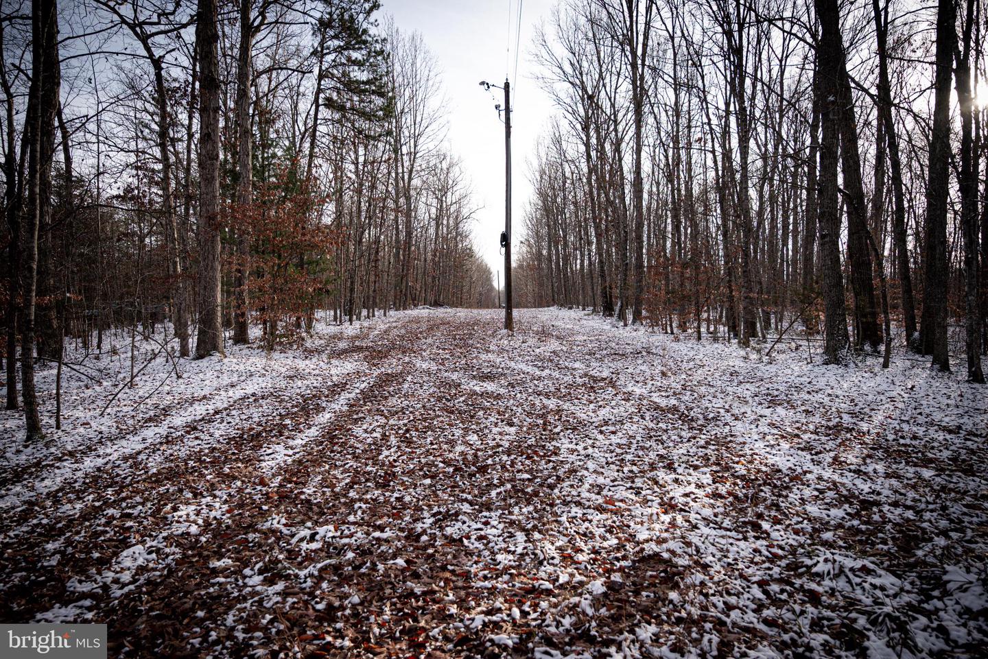 TBD MALLORYS FORD RD, LOUISA, Virginia 23093, ,Land,For sale,TBD MALLORYS FORD RD,VALA2009008 MLS # VALA2009008 TBD MALLORYS FORD RD, LOUISA, Virginia 23093, ,Land,For sale,TBD MALLORYS FORD RD,VALA2009008 MLS # VALA2009008