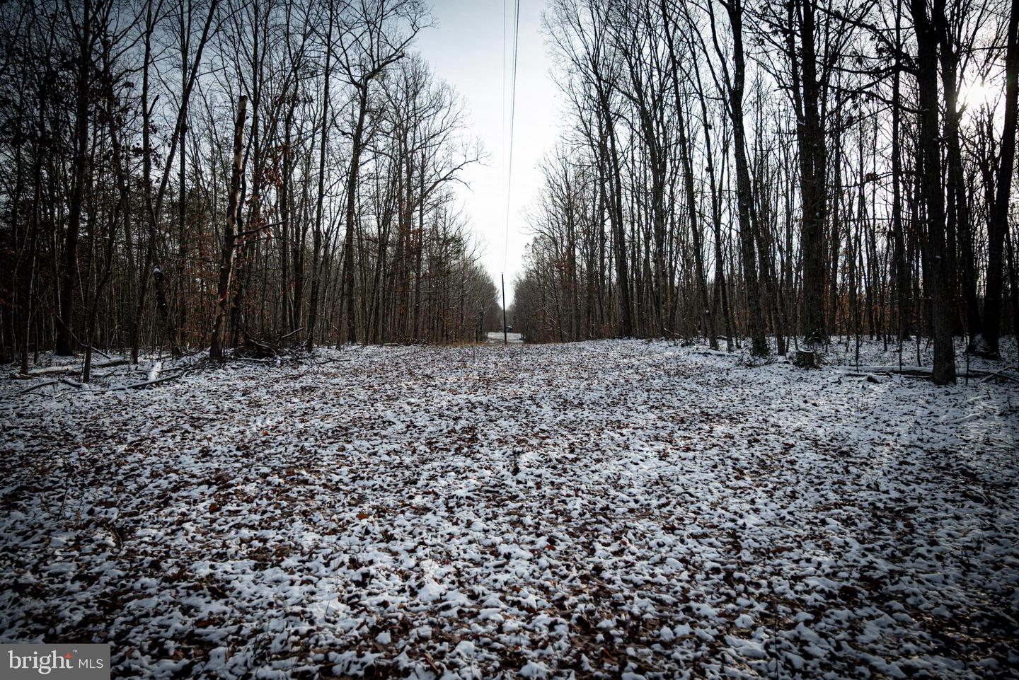 TBD MALLORYS FORD RD, LOUISA, Virginia 23093, ,Land,For sale,TBD MALLORYS FORD RD,VALA2009008 MLS # VALA2009008 TBD MALLORYS FORD RD, LOUISA, Virginia 23093, ,Land,For sale,TBD MALLORYS FORD RD,VALA2009008 MLS # VALA2009008