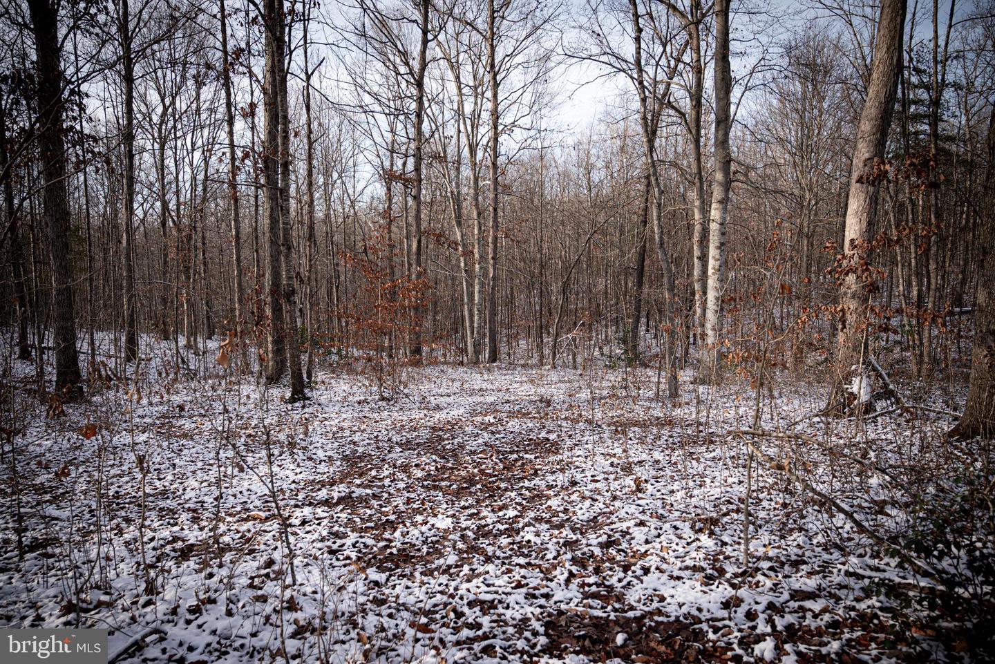 TBD MALLORYS FORD RD, LOUISA, Virginia 23093, ,Land,For sale,TBD MALLORYS FORD RD,VALA2009008 MLS # VALA2009008 TBD MALLORYS FORD RD, LOUISA, Virginia 23093, ,Land,For sale,TBD MALLORYS FORD RD,VALA2009008 MLS # VALA2009008