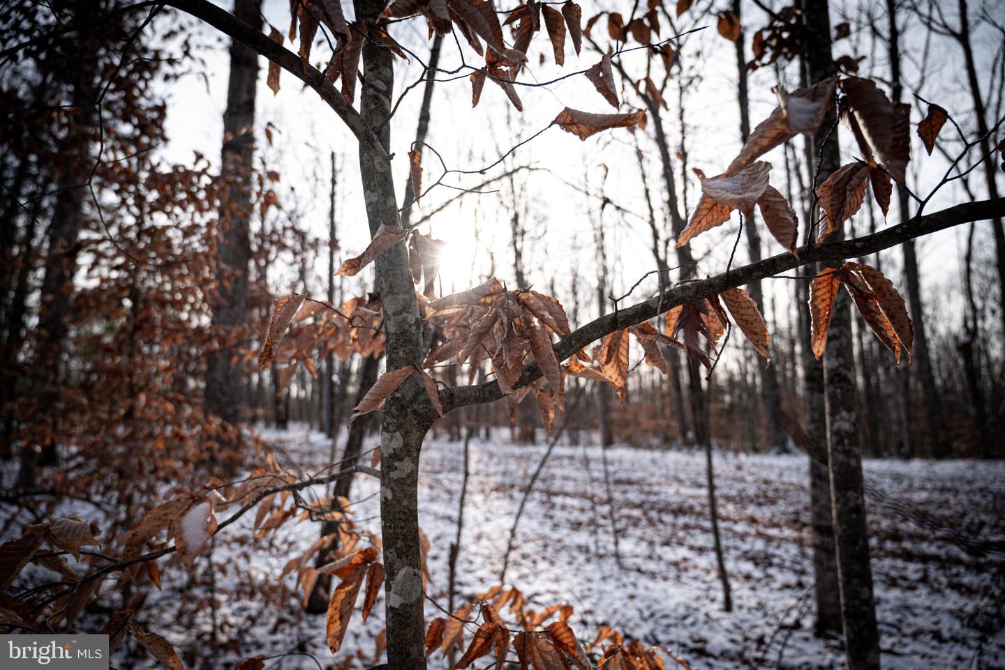 TBD MALLORYS FORD RD, LOUISA, Virginia 23093, ,Land,For sale,TBD MALLORYS FORD RD,VALA2009008 MLS # VALA2009008 TBD MALLORYS FORD RD, LOUISA, Virginia 23093, ,Land,For sale,TBD MALLORYS FORD RD,VALA2009008 MLS # VALA2009008