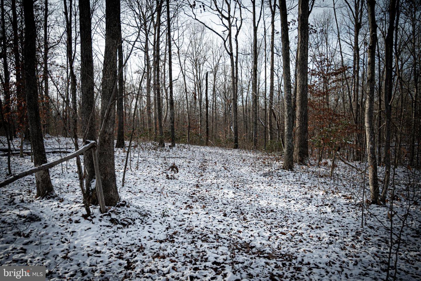 TBD MALLORYS FORD RD, LOUISA, Virginia 23093, ,Land,For sale,TBD MALLORYS FORD RD,VALA2009008 MLS # VALA2009008 TBD MALLORYS FORD RD, LOUISA, Virginia 23093, ,Land,For sale,TBD MALLORYS FORD RD,VALA2009008 MLS # VALA2009008