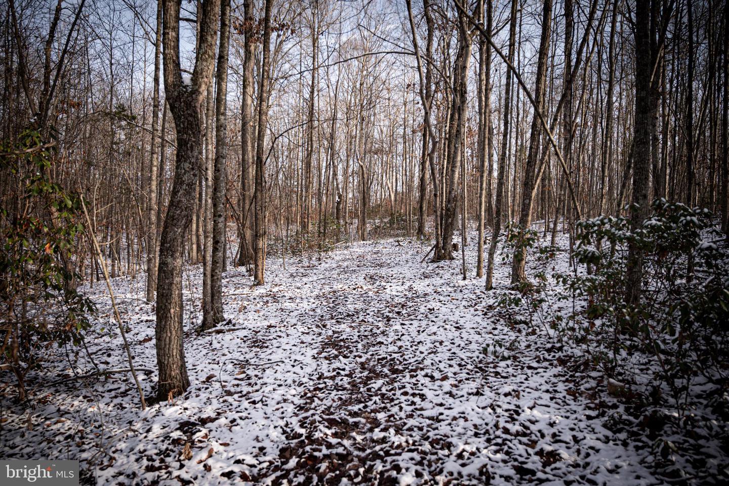 TBD MALLORYS FORD RD, LOUISA, Virginia 23093, ,Land,For sale,TBD MALLORYS FORD RD,VALA2009008 MLS # VALA2009008 TBD MALLORYS FORD RD, LOUISA, Virginia 23093, ,Land,For sale,TBD MALLORYS FORD RD,VALA2009008 MLS # VALA2009008