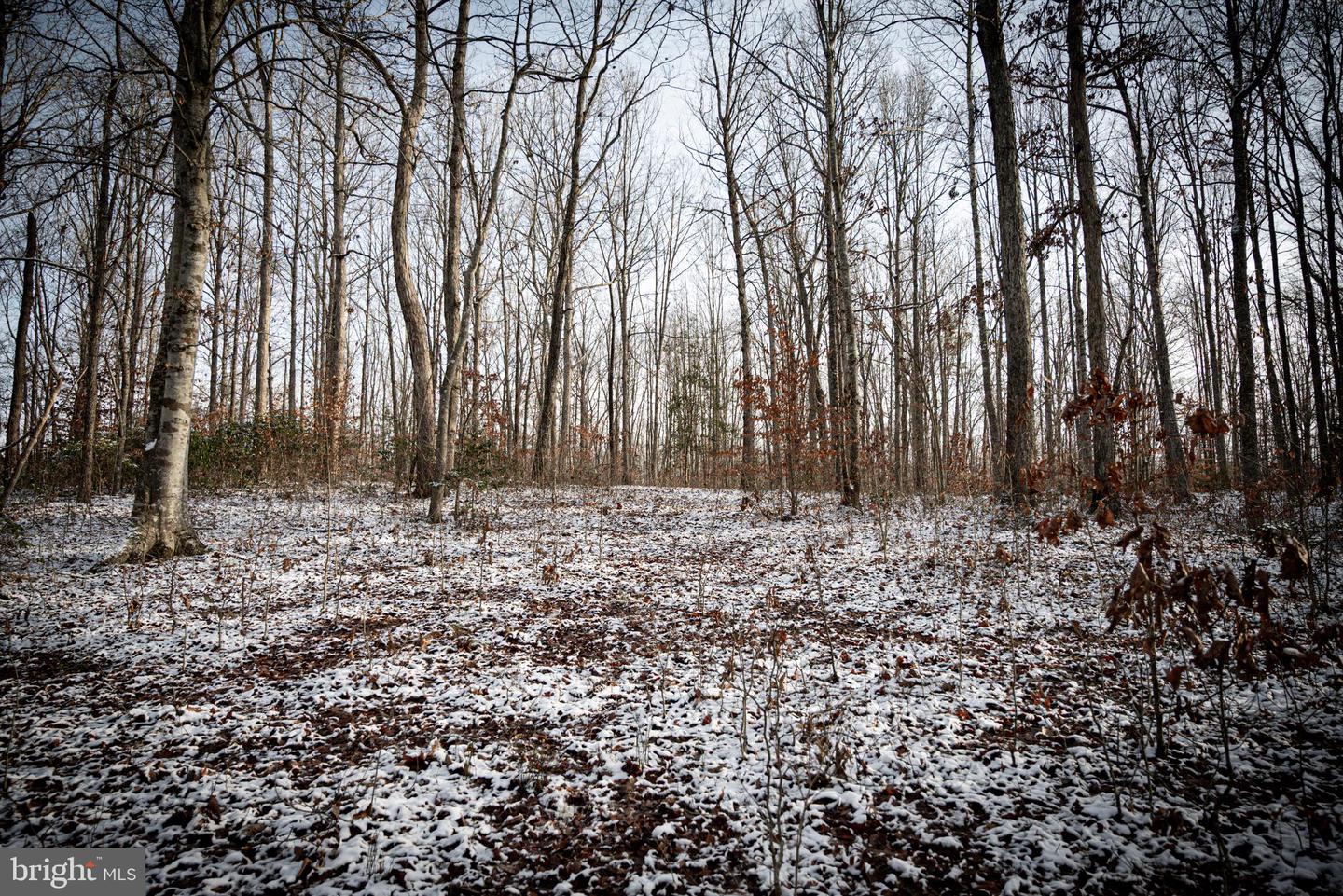 TBD MALLORYS FORD RD, LOUISA, Virginia 23093, ,Land,For sale,TBD MALLORYS FORD RD,VALA2009008 MLS # VALA2009008 TBD MALLORYS FORD RD, LOUISA, Virginia 23093, ,Land,For sale,TBD MALLORYS FORD RD,VALA2009008 MLS # VALA2009008
