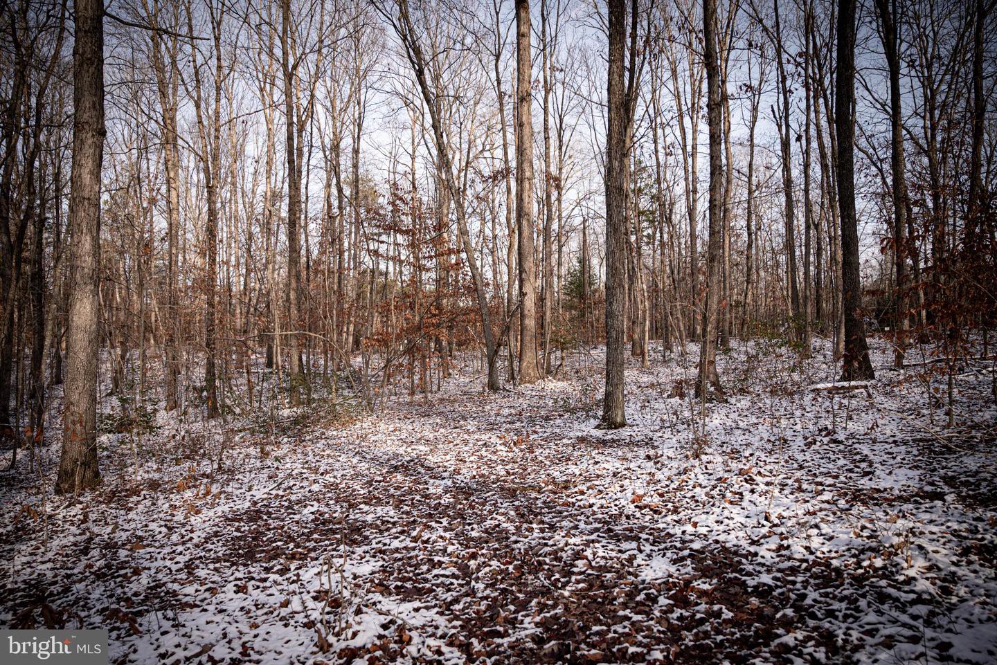 TBD MALLORYS FORD RD, LOUISA, Virginia 23093, ,Land,For sale,TBD MALLORYS FORD RD,VALA2009008 MLS # VALA2009008 TBD MALLORYS FORD RD, LOUISA, Virginia 23093, ,Land,For sale,TBD MALLORYS FORD RD,VALA2009008 MLS # VALA2009008