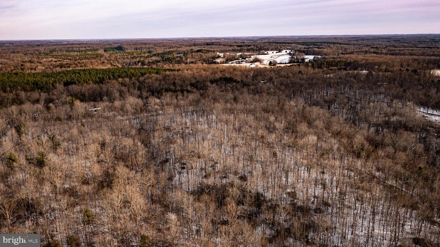 TBD MALLORYS FORD RD, LOUISA, Virginia 23093, ,Land,For sale,TBD MALLORYS FORD RD,VALA2009008 MLS # VALA2009008 TBD MALLORYS FORD RD, LOUISA, Virginia 23093, ,Land,For sale,TBD MALLORYS FORD RD,VALA2009008 MLS # VALA2009008