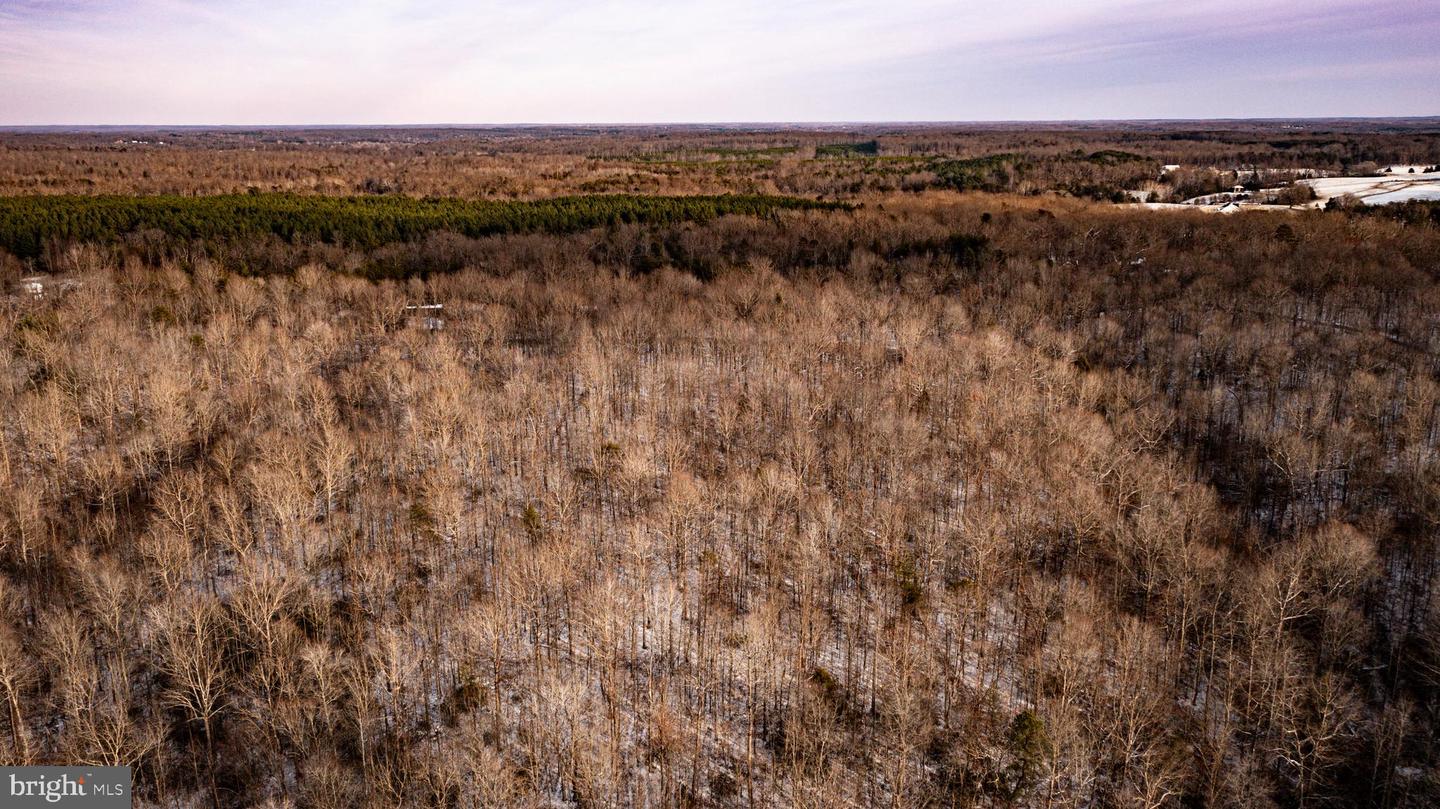 TBD MALLORYS FORD RD, LOUISA, Virginia 23093, ,Land,For sale,TBD MALLORYS FORD RD,VALA2009008 MLS # VALA2009008 TBD MALLORYS FORD RD, LOUISA, Virginia 23093, ,Land,For sale,TBD MALLORYS FORD RD,VALA2009008 MLS # VALA2009008
