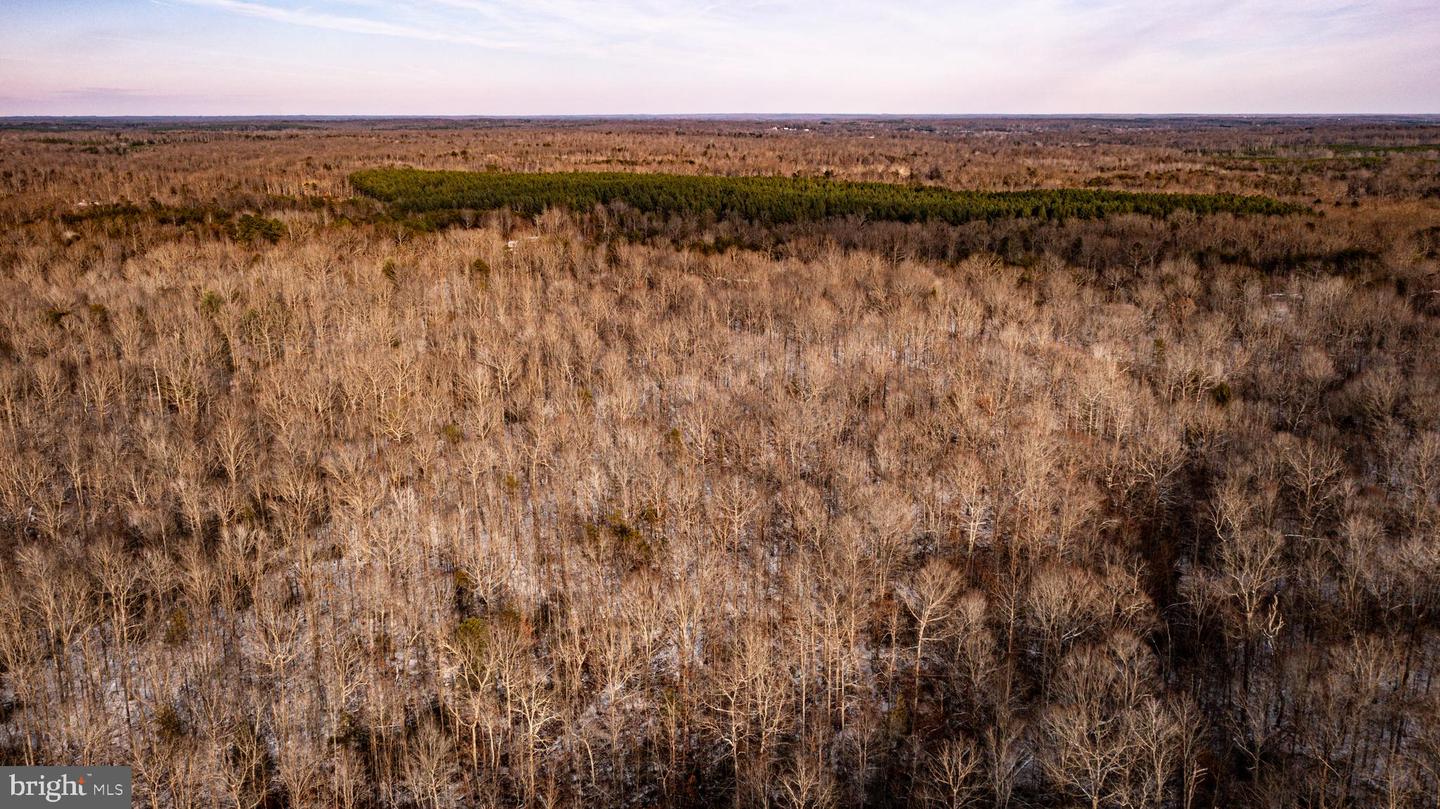 TBD MALLORYS FORD RD, LOUISA, Virginia 23093, ,Land,For sale,TBD MALLORYS FORD RD,VALA2009008 MLS # VALA2009008 TBD MALLORYS FORD RD, LOUISA, Virginia 23093, ,Land,For sale,TBD MALLORYS FORD RD,VALA2009008 MLS # VALA2009008
