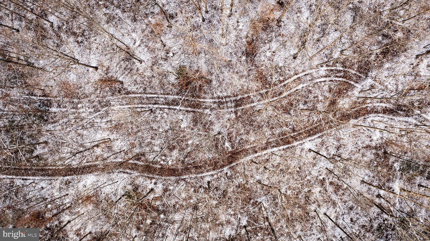 TBD MALLORYS FORD RD, LOUISA, Virginia 23093, ,Land,For sale,TBD MALLORYS FORD RD,VALA2009008 MLS # VALA2009008 TBD MALLORYS FORD RD, LOUISA, Virginia 23093, ,Land,For sale,TBD MALLORYS FORD RD,VALA2009008 MLS # VALA2009008