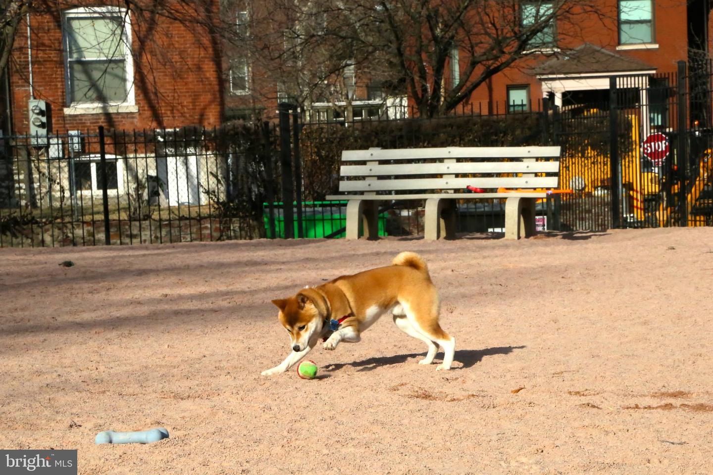 1610 11TH ST NW #3B, WASHINGTON, District Of Columbia 20001, 2 Bedrooms Bedrooms, ,2 BathroomsBathrooms,Residential,For sale,1610 11TH ST NW #3B,DCDC2229788 MLS # DCDC2229788 1610 11TH ST NW #3B, WASHINGTON, District Of Columbia 20001, 2 Bedrooms Bedrooms, ,2 BathroomsBathrooms,Residential,For sale,1610 11TH ST NW #3B,DCDC2229788 MLS # DCDC2229788