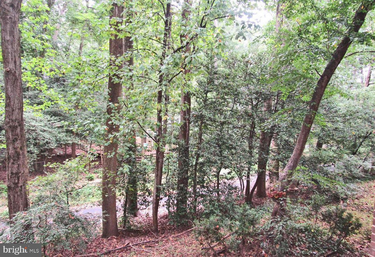 1532 NORTHGATE SQ #12A, RESTON, Virginia 20190, 1 Bedroom Bedrooms, ,1 BathroomBathrooms,Residential,For sale,1532 NORTHGATE SQ #12A,VAFX2280202 MLS # VAFX2280202