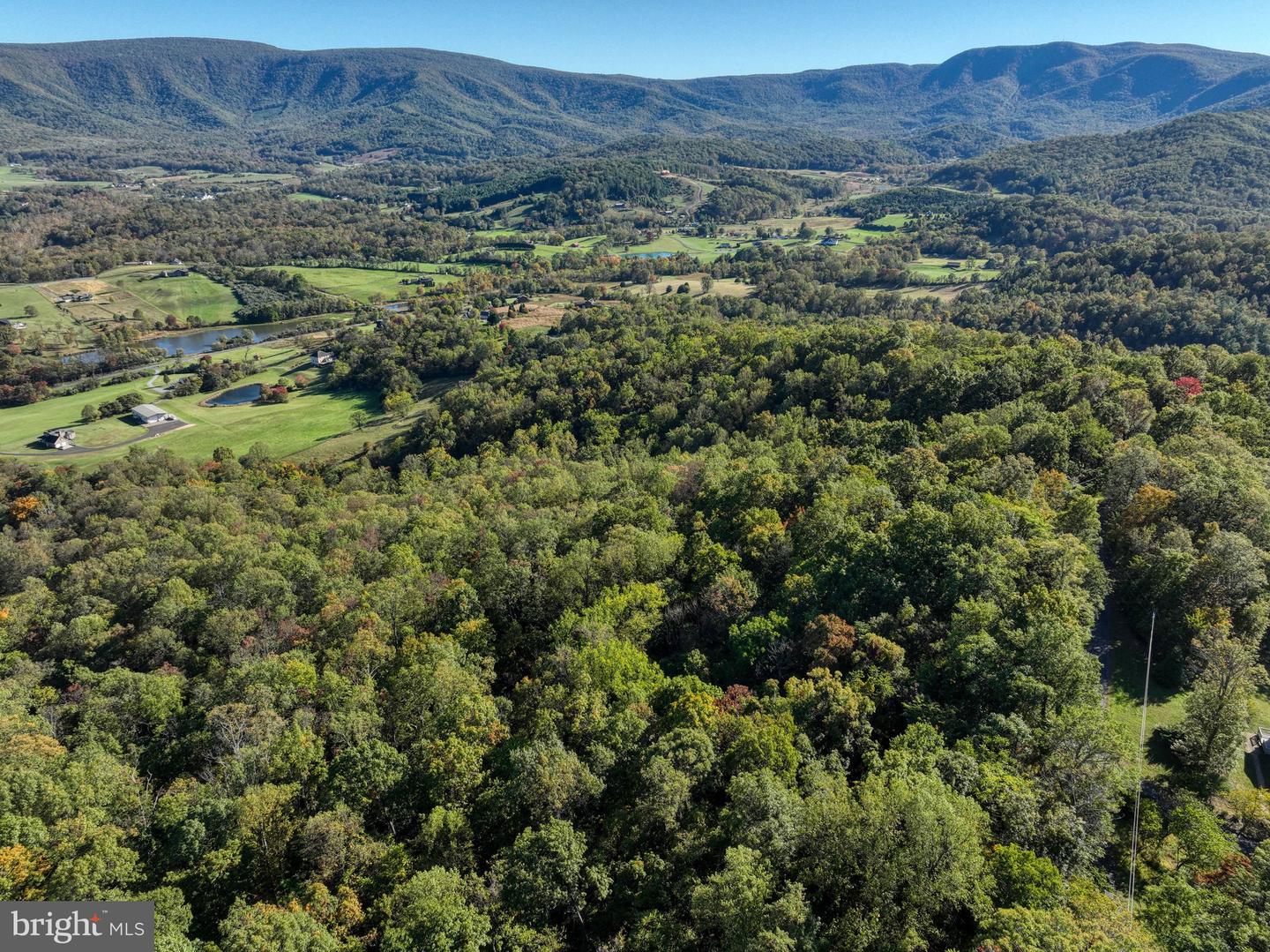 LOT 14 SEVEN OAKS DR, BENTONVILLE, Virginia 22610, ,Land,For sale,LOT 14 SEVEN OAKS DR,VAWR2012640 MLS # VAWR2012640 LOT 14 SEVEN OAKS DR, BENTONVILLE, Virginia 22610, ,Land,For sale,LOT 14 SEVEN OAKS DR,VAWR2012640 MLS # VAWR2012640