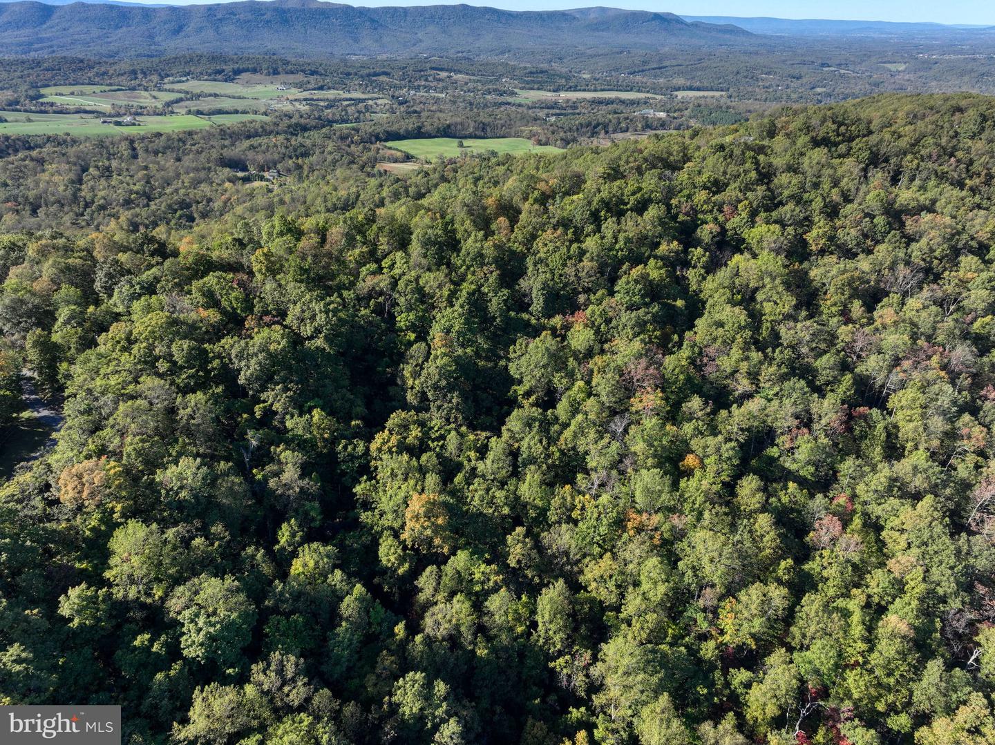 LOT 14 SEVEN OAKS DR, BENTONVILLE, Virginia 22610, ,Land,For sale,LOT 14 SEVEN OAKS DR,VAWR2012640 MLS # VAWR2012640 LOT 14 SEVEN OAKS DR, BENTONVILLE, Virginia 22610, ,Land,For sale,LOT 14 SEVEN OAKS DR,VAWR2012640 MLS # VAWR2012640