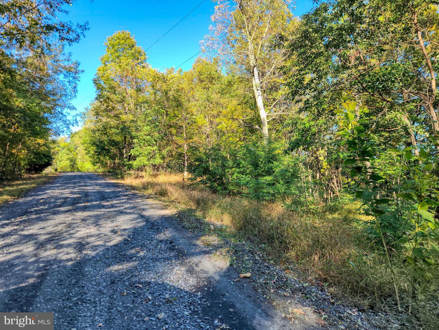 LOT 14 SEVEN OAKS DR, BENTONVILLE, Virginia 22610, ,Land,For sale,LOT 14 SEVEN OAKS DR,VAWR2012640 MLS # VAWR2012640 LOT 14 SEVEN OAKS DR, BENTONVILLE, Virginia 22610, ,Land,For sale,LOT 14 SEVEN OAKS DR,VAWR2012640 MLS # VAWR2012640
