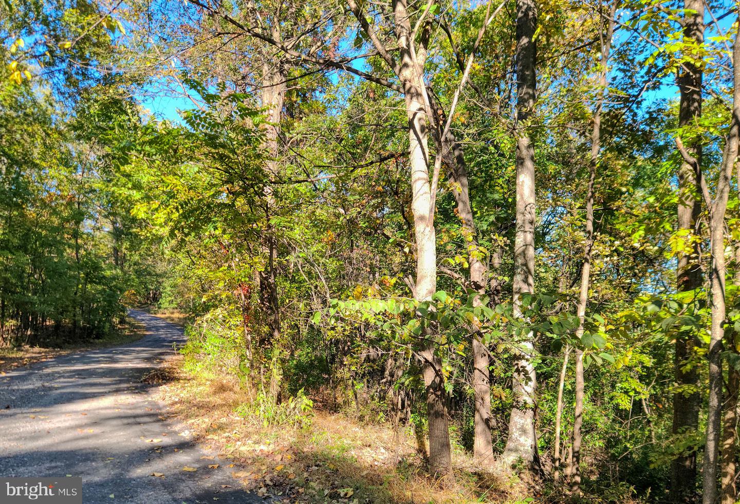 LOT 14 SEVEN OAKS DR, BENTONVILLE, Virginia 22610, ,Land,For sale,LOT 14 SEVEN OAKS DR,VAWR2012640 MLS # VAWR2012640 LOT 14 SEVEN OAKS DR, BENTONVILLE, Virginia 22610, ,Land,For sale,LOT 14 SEVEN OAKS DR,VAWR2012640 MLS # VAWR2012640