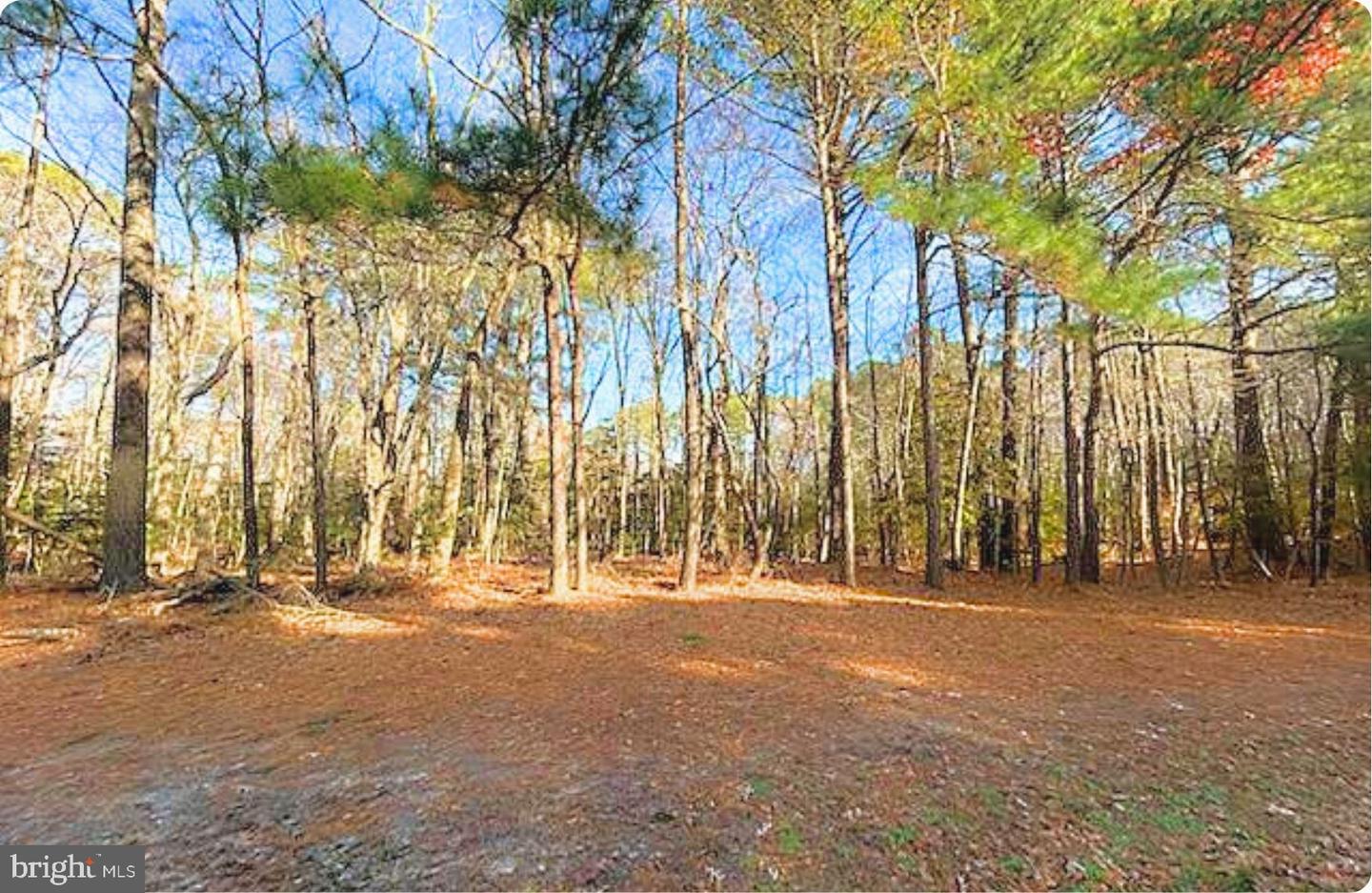 LOT 18 PEACEFUL WAY, EXMORE, Virginia 23350, ,Land,For sale,LOT 18 PEACEFUL WAY,VANH2000082 MLS # VANH2000082 LOT 18 PEACEFUL WAY, EXMORE, Virginia 23350, ,Land,For sale,LOT 18 PEACEFUL WAY,VANH2000082 MLS # VANH2000082