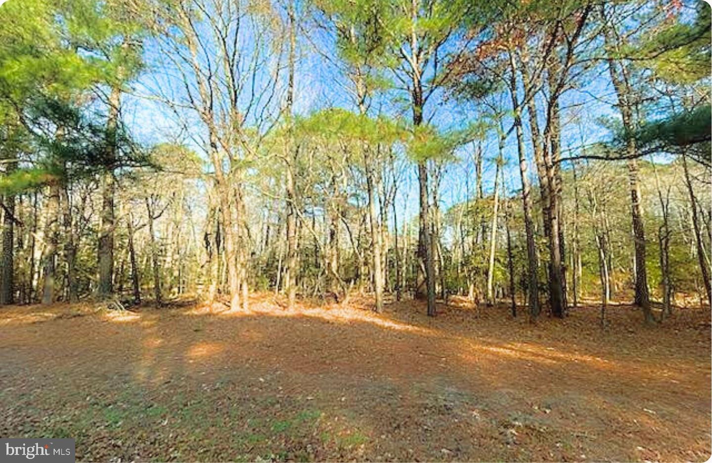 LOT 18 PEACEFUL WAY, EXMORE, Virginia 23350, ,Land,For sale,LOT 18 PEACEFUL WAY,VANH2000082 MLS # VANH2000082 LOT 18 PEACEFUL WAY, EXMORE, Virginia 23350, ,Land,For sale,LOT 18 PEACEFUL WAY,VANH2000082 MLS # VANH2000082