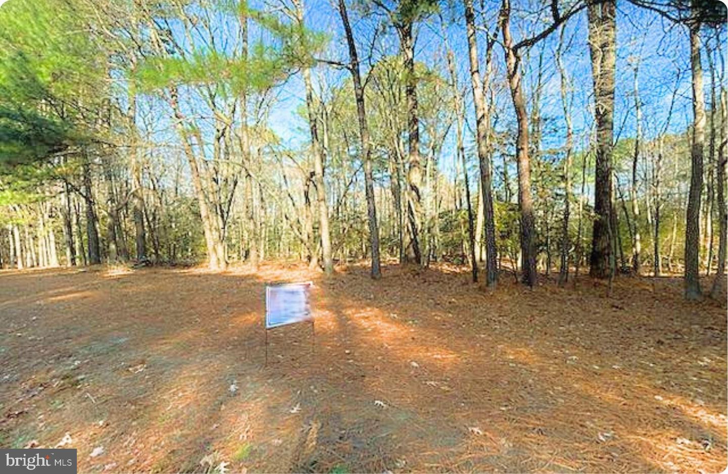 LOT 18 PEACEFUL WAY, EXMORE, Virginia 23350, ,Land,For sale,LOT 18 PEACEFUL WAY,VANH2000082 MLS # VANH2000082 LOT 18 PEACEFUL WAY, EXMORE, Virginia 23350, ,Land,For sale,LOT 18 PEACEFUL WAY,VANH2000082 MLS # VANH2000082