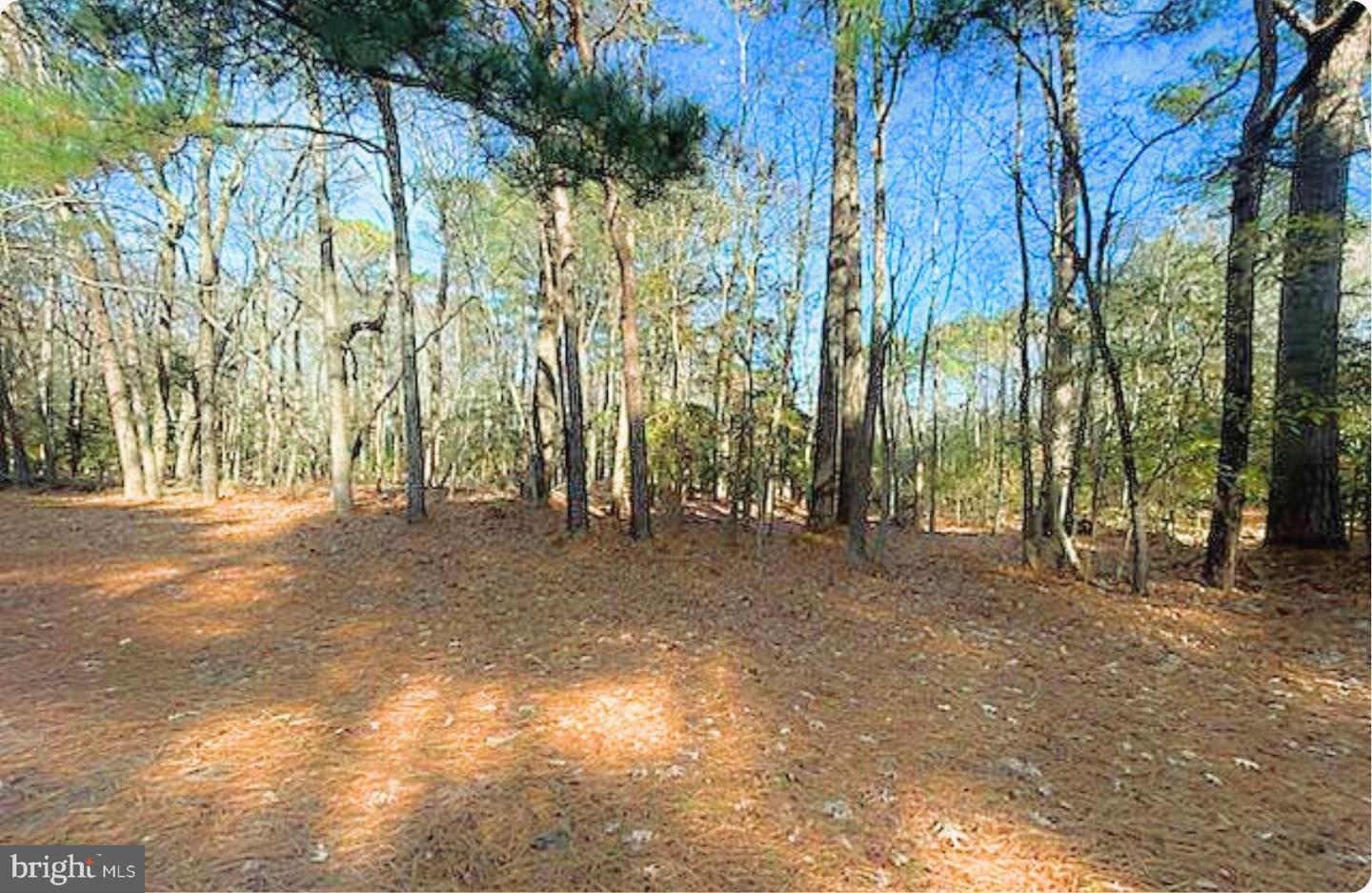 LOT 18 PEACEFUL WAY, EXMORE, Virginia 23350, ,Land,For sale,LOT 18 PEACEFUL WAY,VANH2000082 MLS # VANH2000082 LOT 18 PEACEFUL WAY, EXMORE, Virginia 23350, ,Land,For sale,LOT 18 PEACEFUL WAY,VANH2000082 MLS # VANH2000082