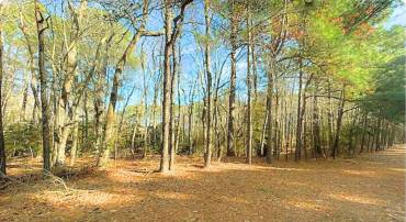 LOT 18 PEACEFUL WAY, EXMORE, Virginia 23350, ,Land,For sale,LOT 18 PEACEFUL WAY,VANH2000082 MLS # VANH2000082