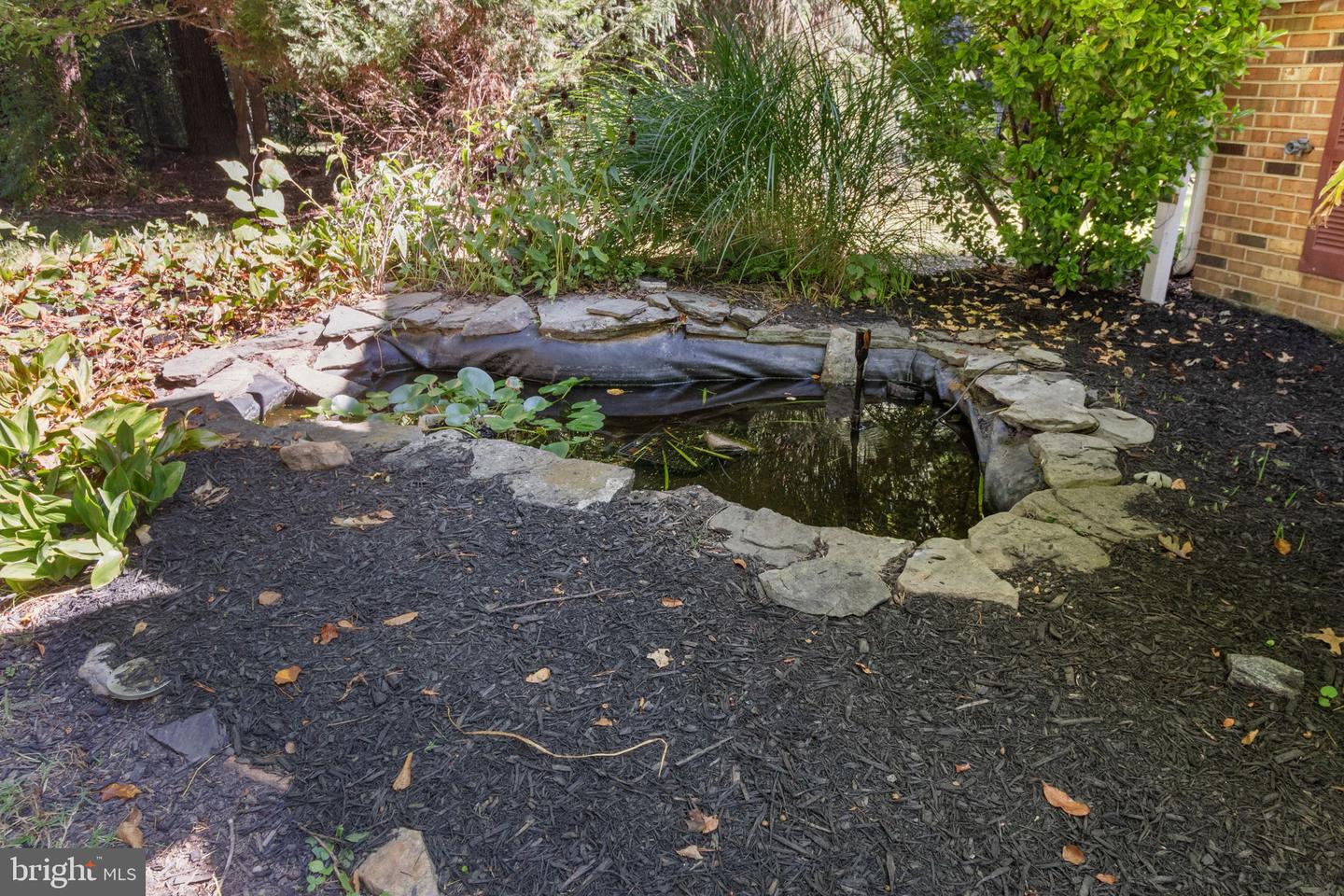 6035 TOWLES MILL RD, PARTLOW, Virginia 22534, 3 Bedrooms Bedrooms, ,2 BathroomsBathrooms,Residential,For sale,6035 TOWLES MILL RD,VASP2036300 MLS # VASP2036300 6035 TOWLES MILL RD, PARTLOW, Virginia 22534, 3 Bedrooms Bedrooms, ,2 BathroomsBathrooms,Residential,For sale,6035 TOWLES MILL RD,VASP2036300 MLS # VASP2036300