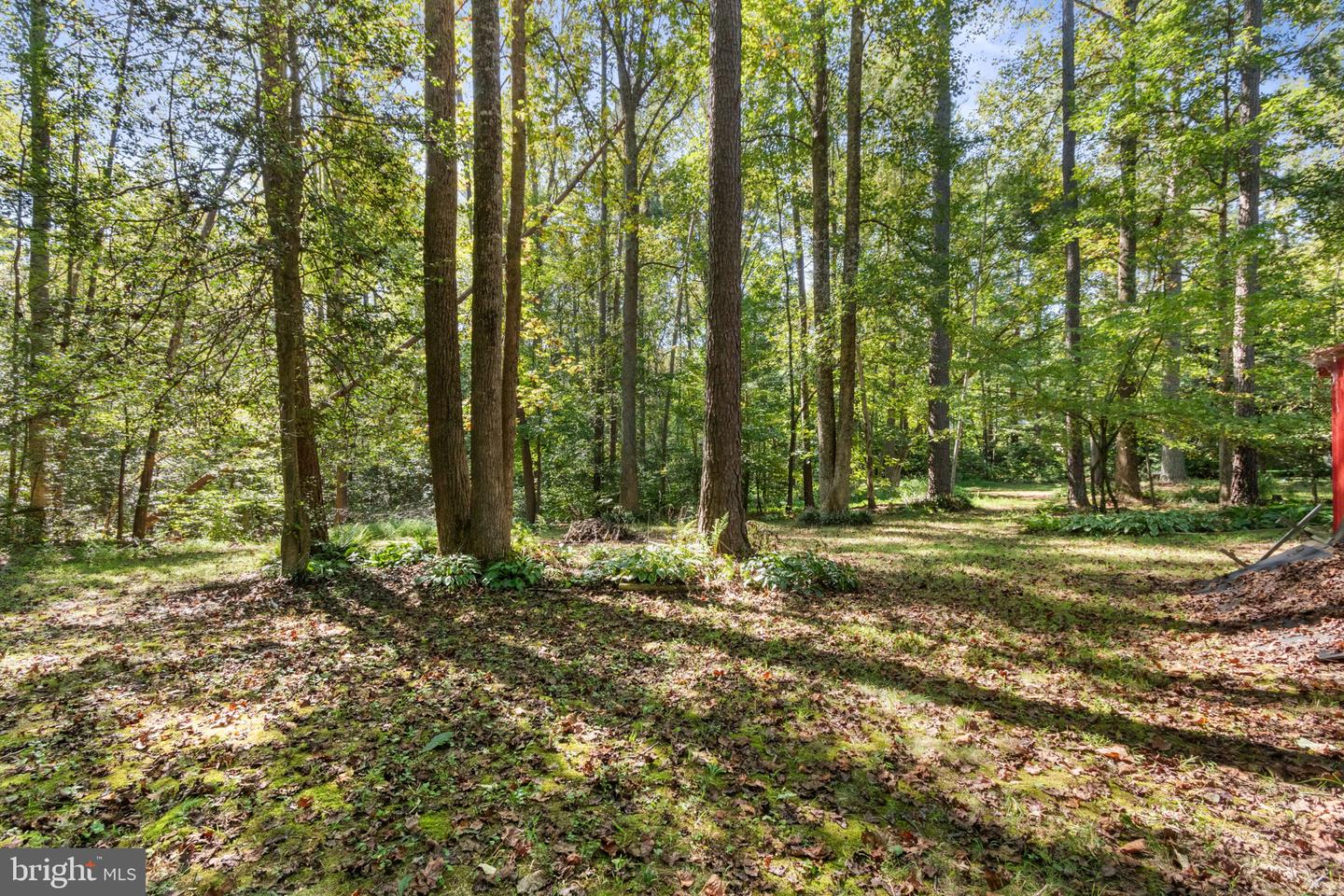 6035 TOWLES MILL RD, PARTLOW, Virginia 22534, 3 Bedrooms Bedrooms, ,2 BathroomsBathrooms,Residential,For sale,6035 TOWLES MILL RD,VASP2036300 MLS # VASP2036300 6035 TOWLES MILL RD, PARTLOW, Virginia 22534, 3 Bedrooms Bedrooms, ,2 BathroomsBathrooms,Residential,For sale,6035 TOWLES MILL RD,VASP2036300 MLS # VASP2036300