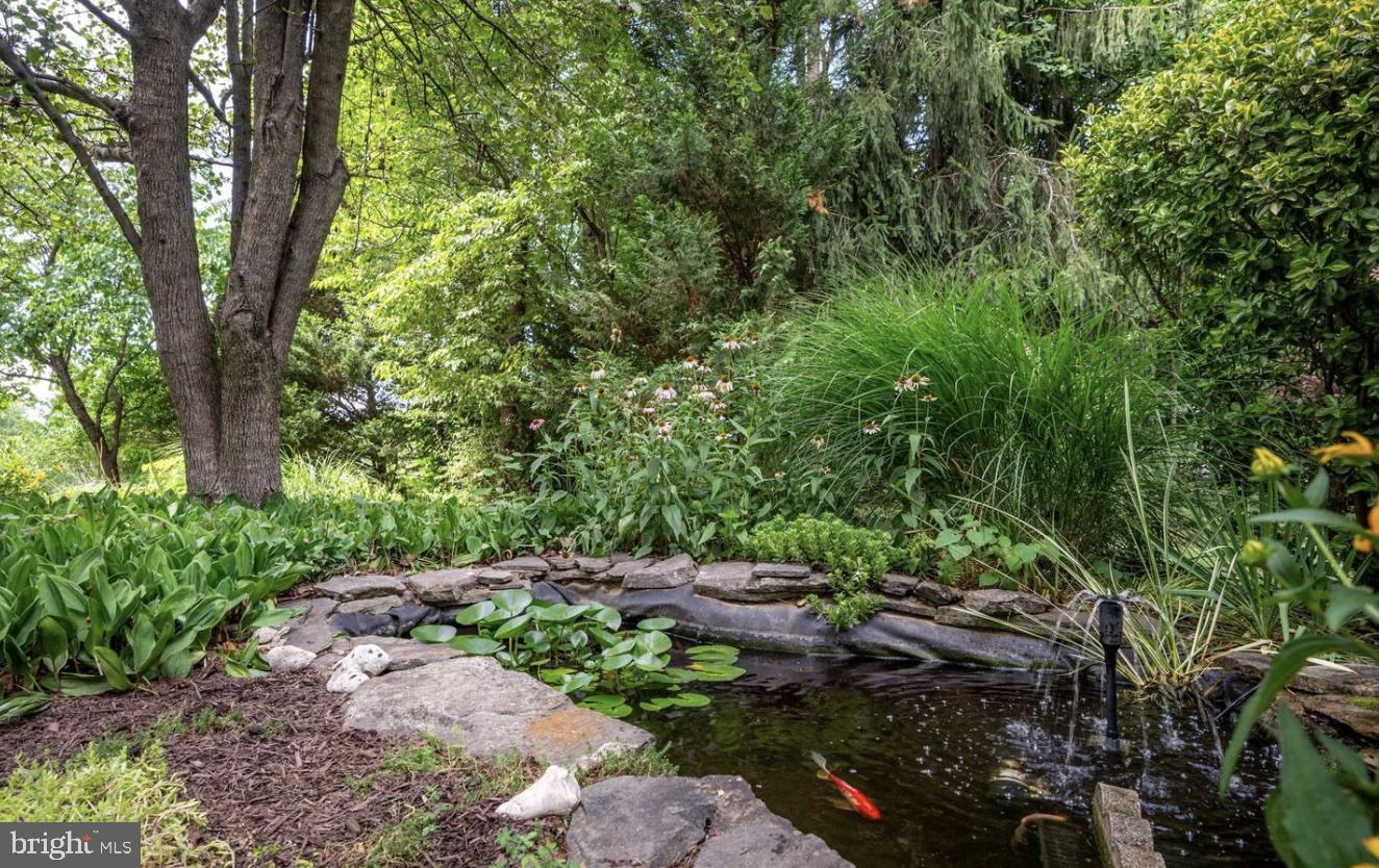 6035 TOWLES MILL RD, PARTLOW, Virginia 22534, 3 Bedrooms Bedrooms, ,2 BathroomsBathrooms,Residential,For sale,6035 TOWLES MILL RD,VASP2036300 MLS # VASP2036300 6035 TOWLES MILL RD, PARTLOW, Virginia 22534, 3 Bedrooms Bedrooms, ,2 BathroomsBathrooms,Residential,For sale,6035 TOWLES MILL RD,VASP2036300 MLS # VASP2036300