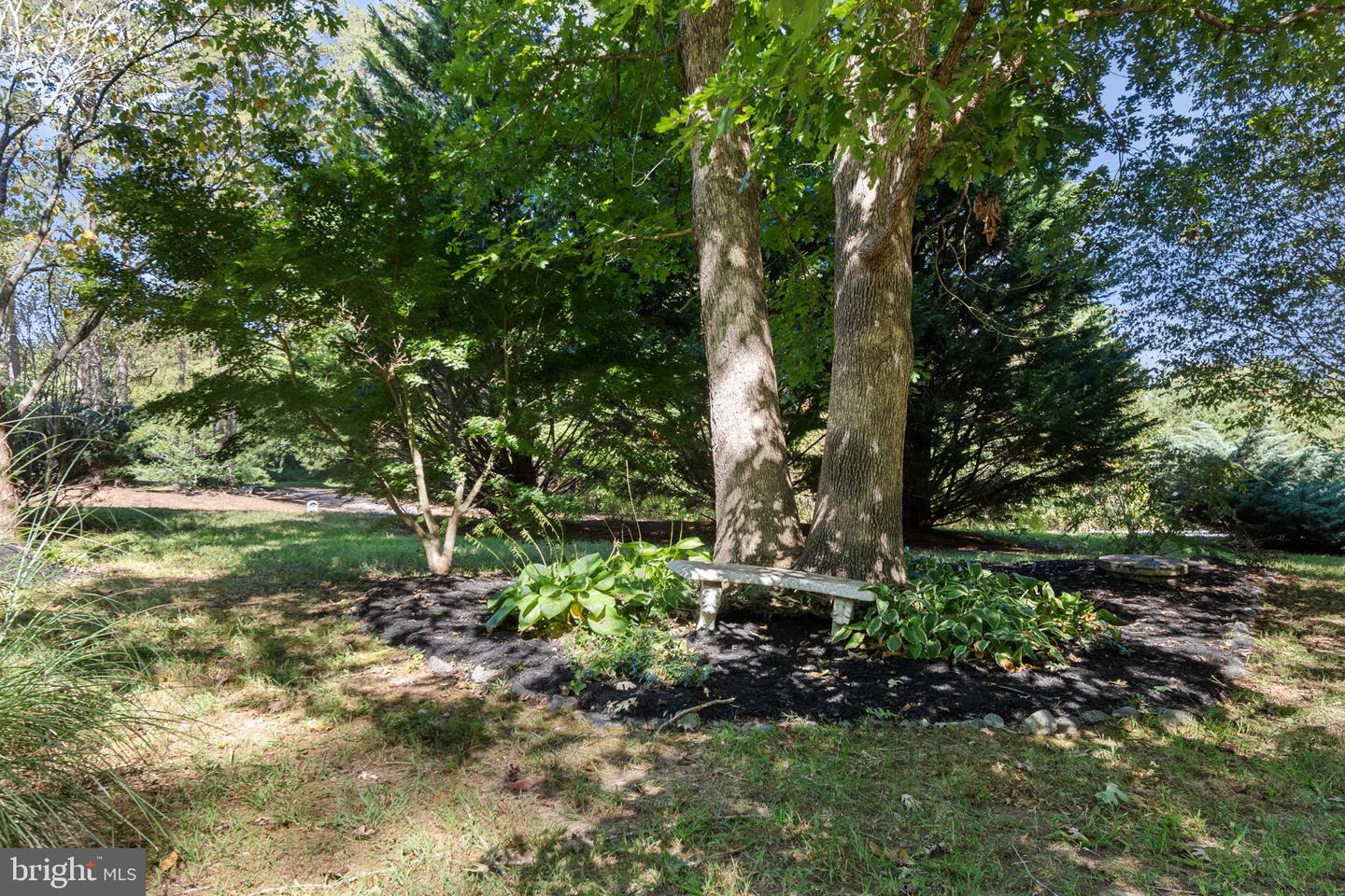 6035 TOWLES MILL RD, PARTLOW, Virginia 22534, 3 Bedrooms Bedrooms, ,2 BathroomsBathrooms,Residential,For sale,6035 TOWLES MILL RD,VASP2036300 MLS # VASP2036300 6035 TOWLES MILL RD, PARTLOW, Virginia 22534, 3 Bedrooms Bedrooms, ,2 BathroomsBathrooms,Residential,For sale,6035 TOWLES MILL RD,VASP2036300 MLS # VASP2036300