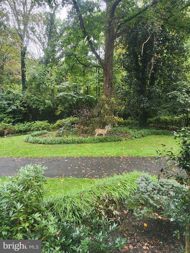 5300 SUMMIT DR, FAIRFAX, Virginia 22030, 4 Bedrooms Bedrooms, ,3 BathroomsBathrooms,Residential,For sale,5300 SUMMIT DR,VAFX2281514 MLS # VAFX2281514