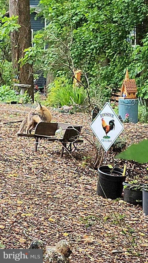 5300 SUMMIT DR, FAIRFAX, Virginia 22030, 4 Bedrooms Bedrooms, ,3 BathroomsBathrooms,Residential,For sale,5300 SUMMIT DR,VAFX2281514 MLS # VAFX2281514