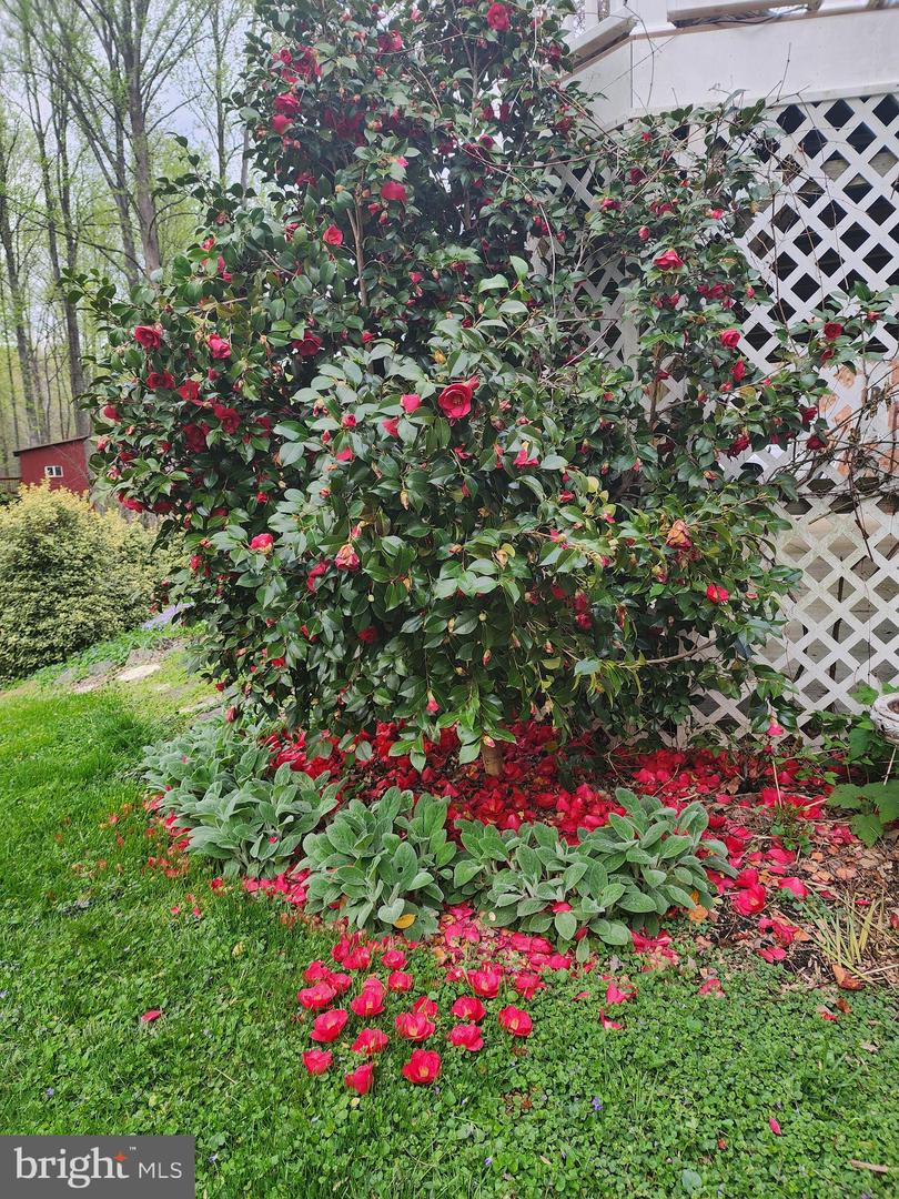 5300 SUMMIT DR, FAIRFAX, Virginia 22030, 4 Bedrooms Bedrooms, ,3 BathroomsBathrooms,Residential,For sale,5300 SUMMIT DR,VAFX2281514 MLS # VAFX2281514